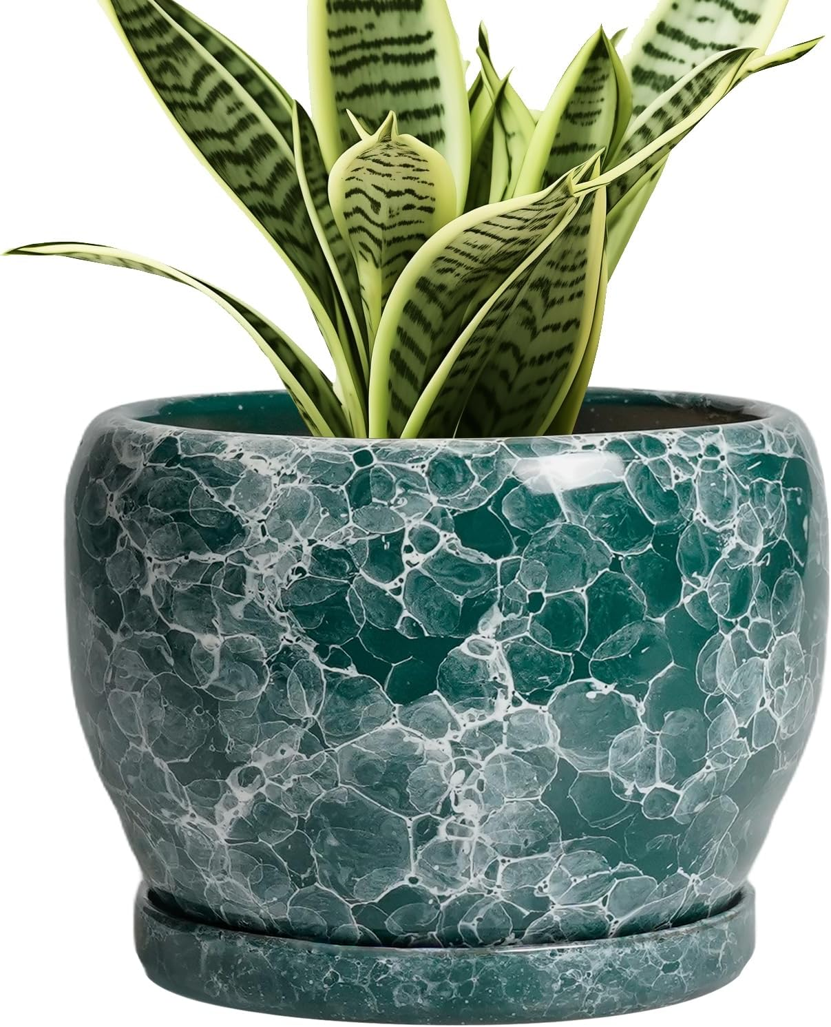 SQOWL Ceramic Plant Pot - 6 Inch Planter with Drainage Hole and Saucer, Succulent Pot round Planter for Indoor Plants Outdoor, Green image number 4