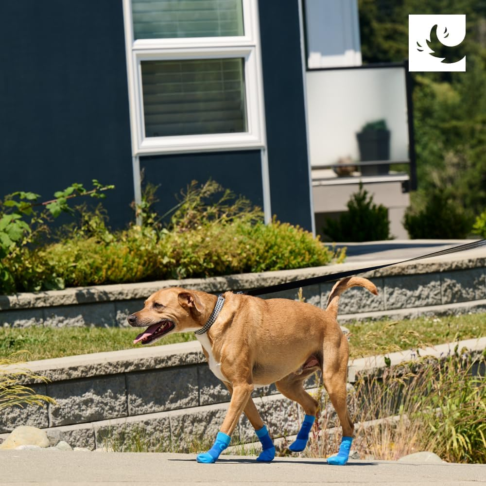 RC Pet Products Sporty Pawks Anti-Slip, Stylish, Functional, Protective Dog Socks | X-Small, Electric Blue/Cyan image number 5