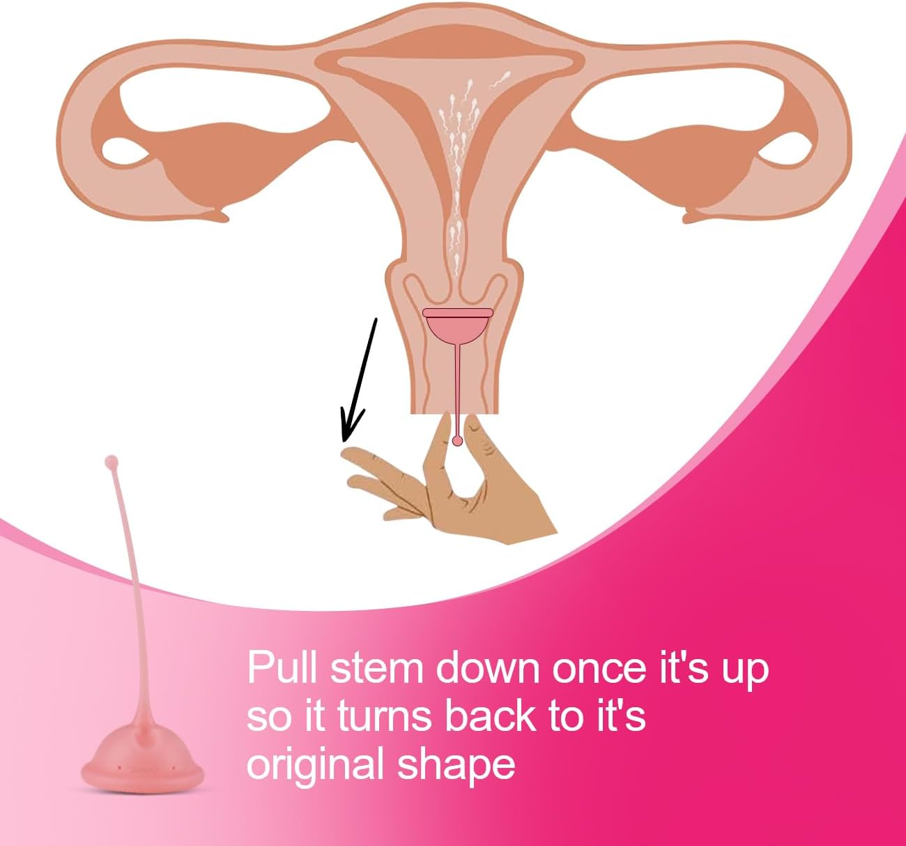 Cervix Sperm Cup,Pink image number 4