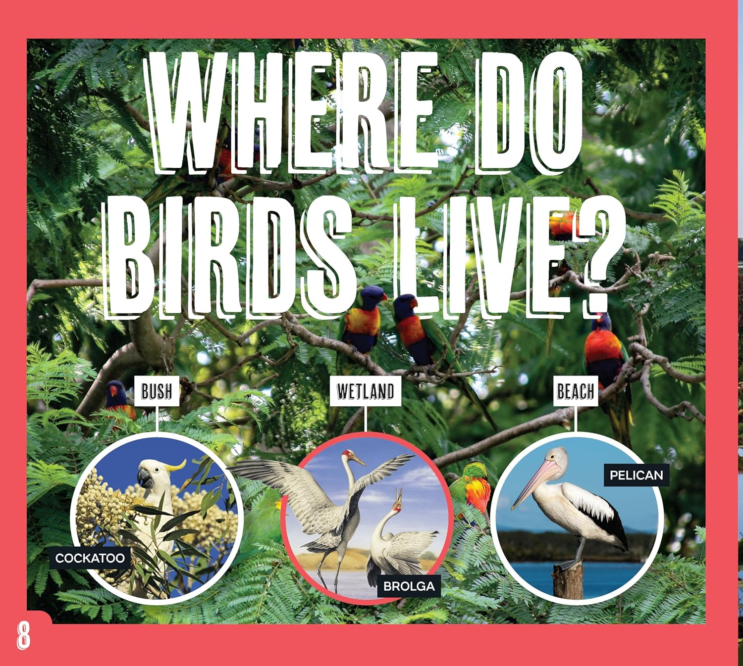 AG Discover: Aussie Birds image number 6