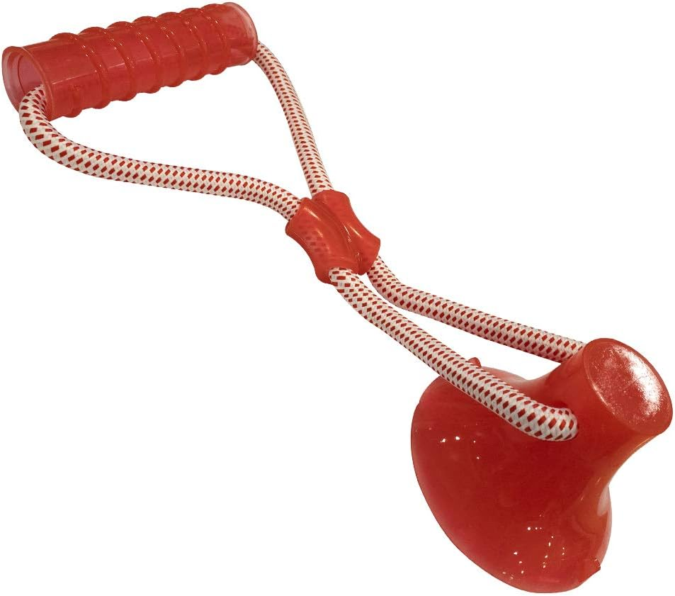 Croci C6098710 Dog Game Pull & Play with Stick Rouge 36 X 13 Cm, Toy with Chewable Suction Cup
