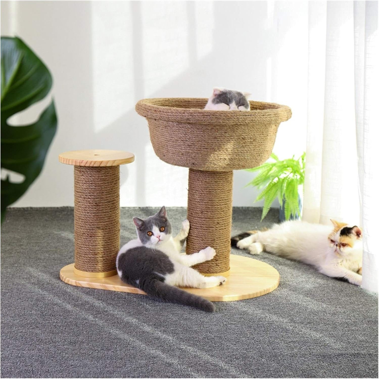 Cat Scratching Post, Natural Bowl Shaped with Perch Cat Tree, Durable Cat Scratcher Pole with Sisal Rope (Color : Brown) image number 3