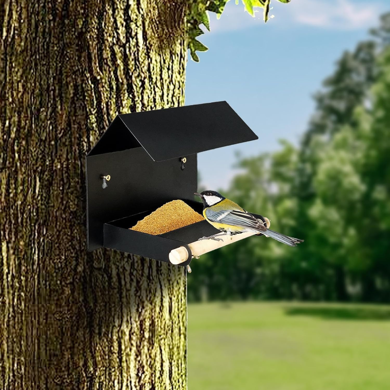 Bird Feeders Metal,Garden Decor Iron Bird Food Bowl - Weather-Resistant Bird Feeder Supplies for Outdoors, Attracts Variety of Birds, Fits Wooden Fences, Trees (Black) - Black image number 4