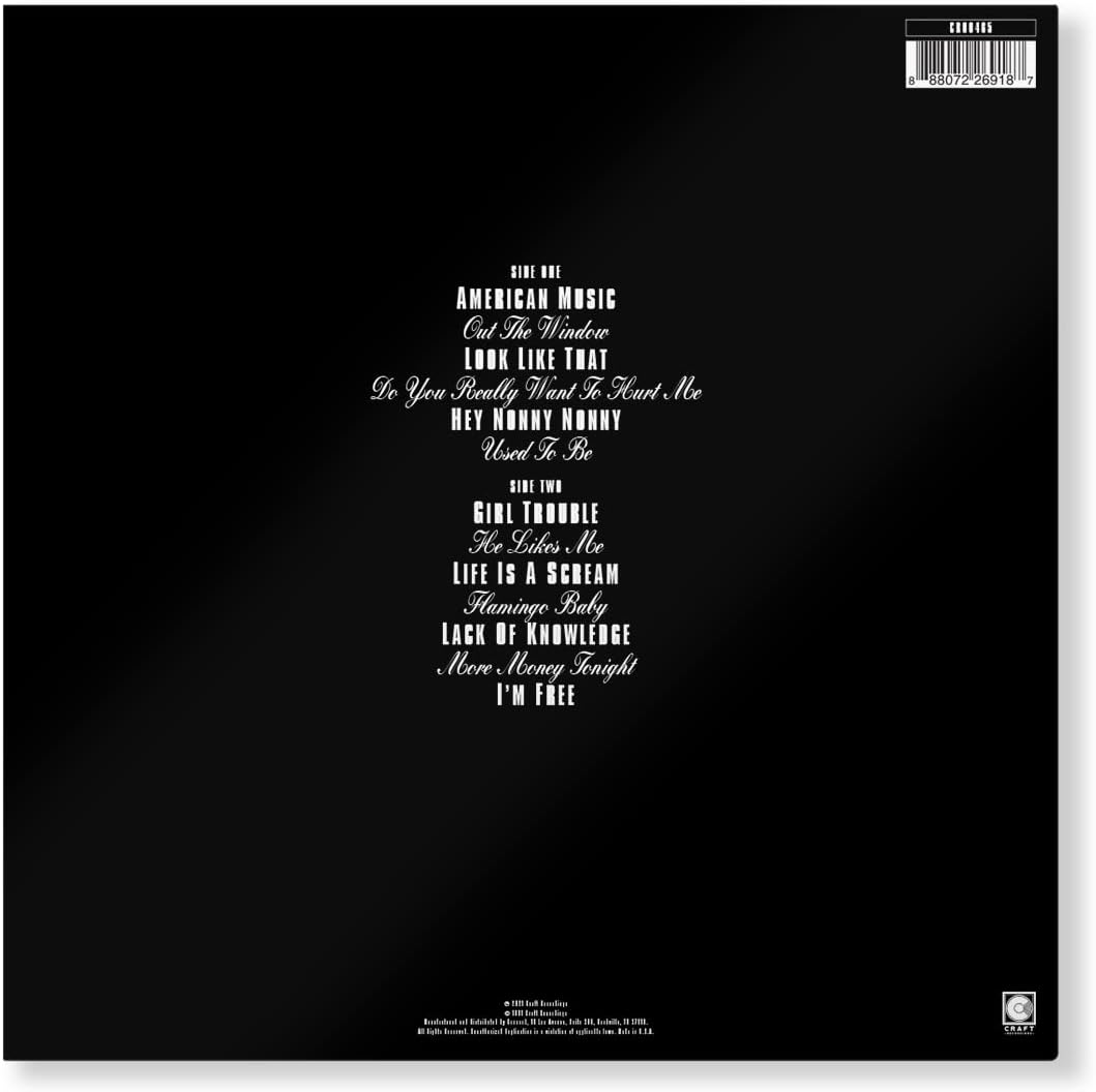 Why Do Birds Sing? (12" Black LP) image number 2