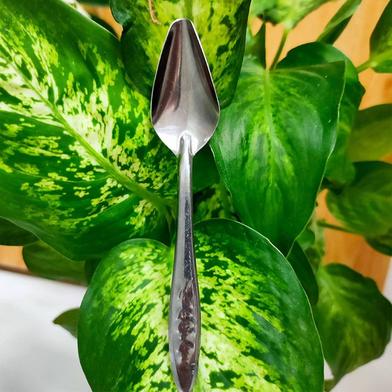 ROYJJ Metal Parrot Feeding Spoon Stainless Steel Milk Water Hand Feeder Spoon Peony Cockatiel Small Bird Parrot Feeding Spoon Chick Stainless Steel Spoon