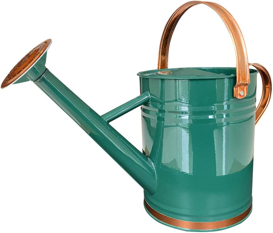 Metal Watering Can for Outdoor and Indoor Plants, Watering Can Decor, 1 Gallon (1 Gallon Green2) - 1 Gallon Black image number 4
