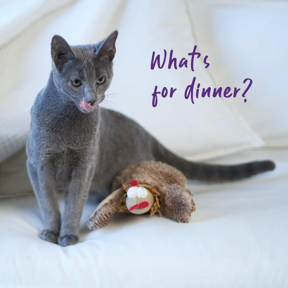 Kazoo Cheeky Chicken Cat Toy image number 3