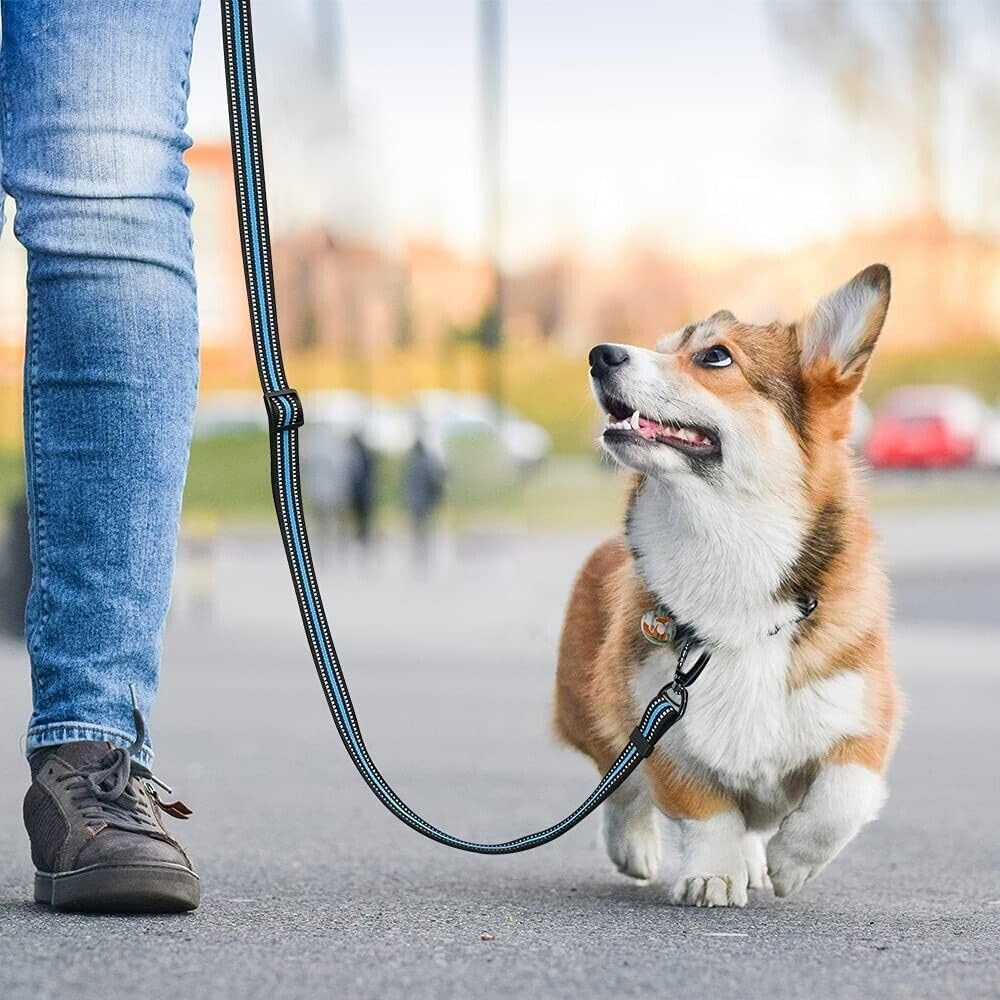 EZONEDEAL Strong Dog Leashes for Large Dogs Heavy Duty - Nylon Reflective Dog Lead Puppy Leash - Dog Training Leash Fit for All Type Dog Leads for Walking Puppy Training (Large, Green) image number 4