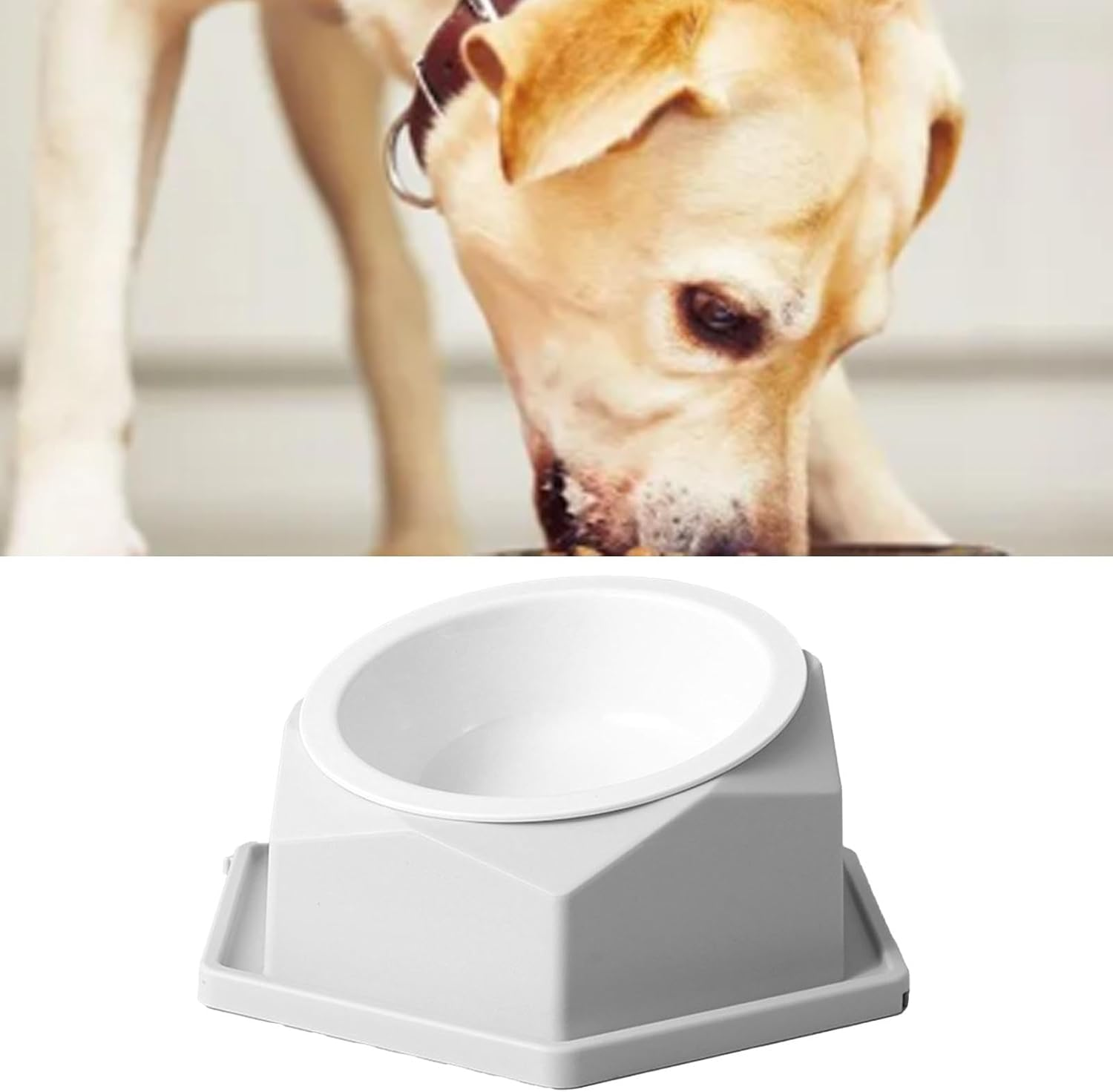 Basics Pet Food Bowl, Raised Cats Bowl Plastic Tilted Elevated Spill Proof Hexagonal Pet Food Bowl, Pet Feeder Bowls for Puppy Medium Dogs Cats /286 (Color : Gray) - Yellow image number 6