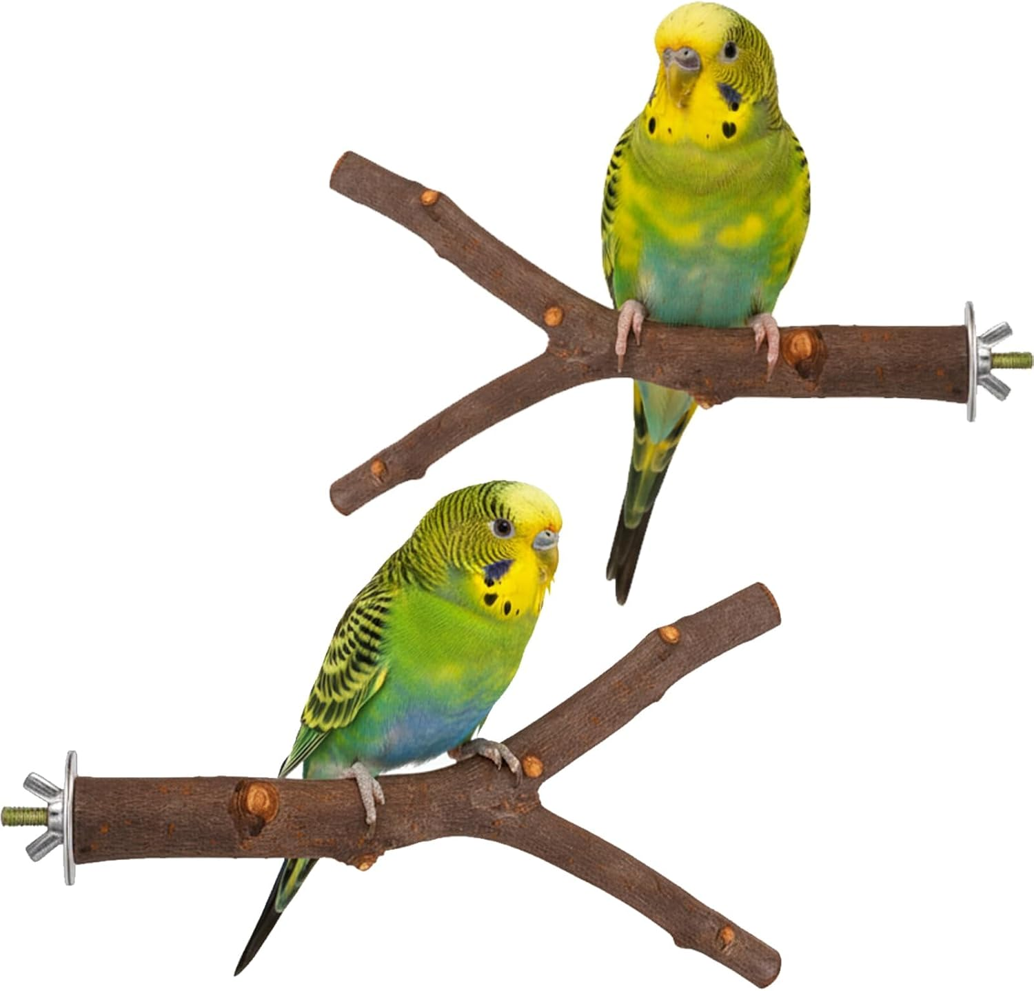 Bird Perch, 2 Pack Natural Wood Bird Cage Accessories, Parrot Toys and Budgie Toys for Small Parrot, Perfect for Budgie Stand and Exercise image number 2