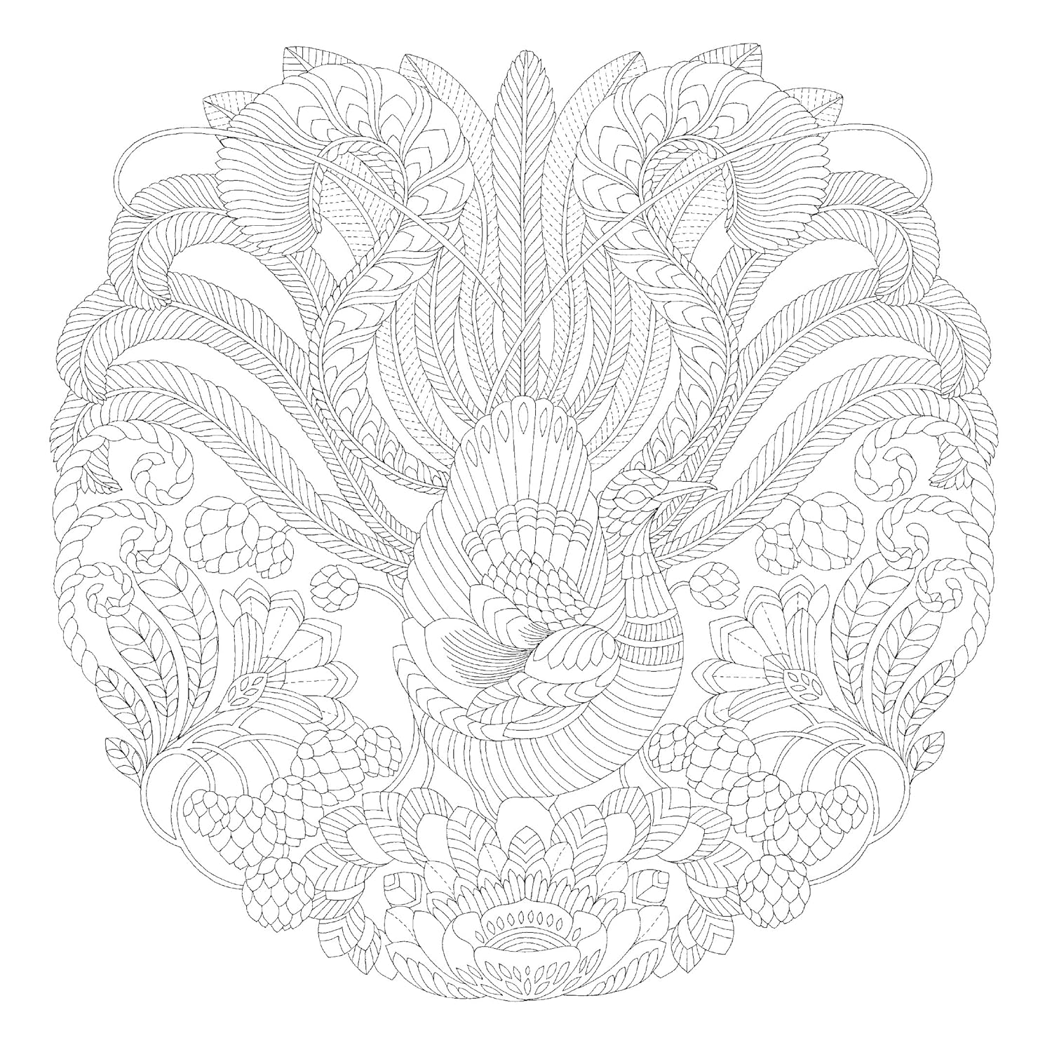 Millie Marotta'S Beautiful Birds and Treetop Treasures: a Colouring Book Adventure: Volume 5 image number 3