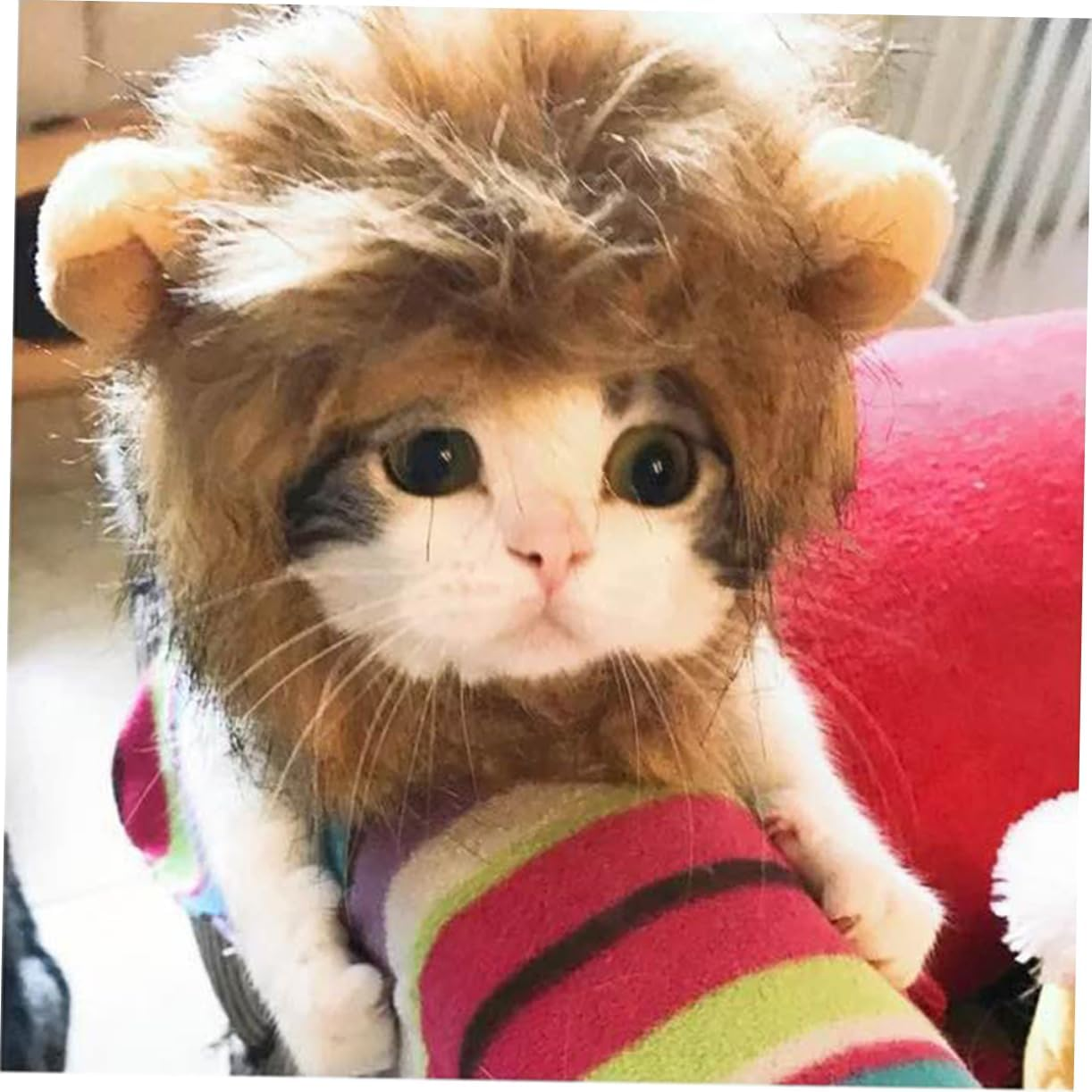 Levemolo Cat Dress up Costume Cat Lion Costume Cat Customs for Halloween Cosplay Hats Lion Mane Dog Costume Dogs Halloween Costumes Cat Hats Caps Lion Wig Head Cap Accessories Pet image number 6