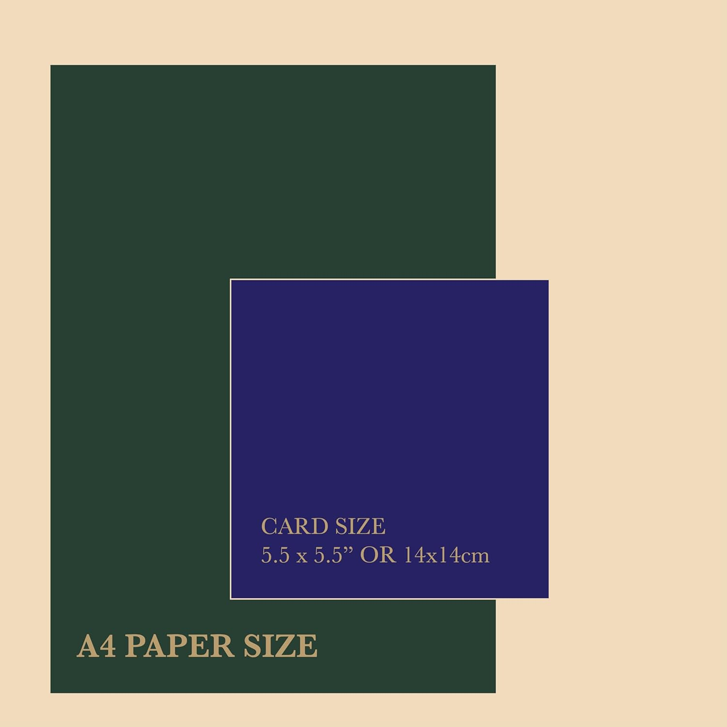 Felbridge Studio - Friend Birthday Card Female image number 5