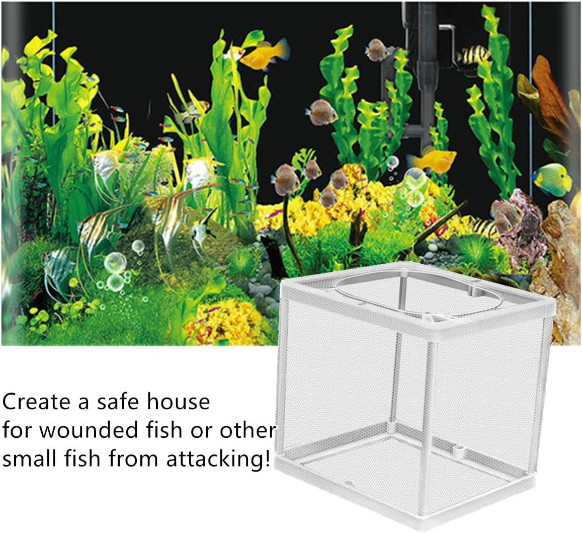 Fish Breeder Box, Spawning Incubator, Isolated Feeding, Juvenile Separation Net,Juvenile Fish Hatching Isolation Protective Box