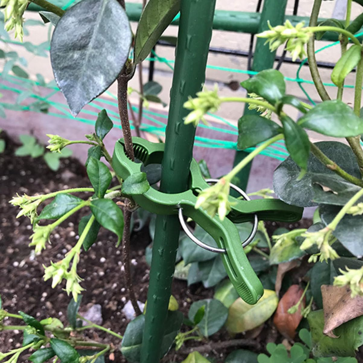 GAROZATION 20Pcs Green Plant Fixing Clips Gardening Art Clips for Securely Supporting Garden Plants Easy Installation High Flexibility Anti-Aging Design for Vines and Flowers image number 6