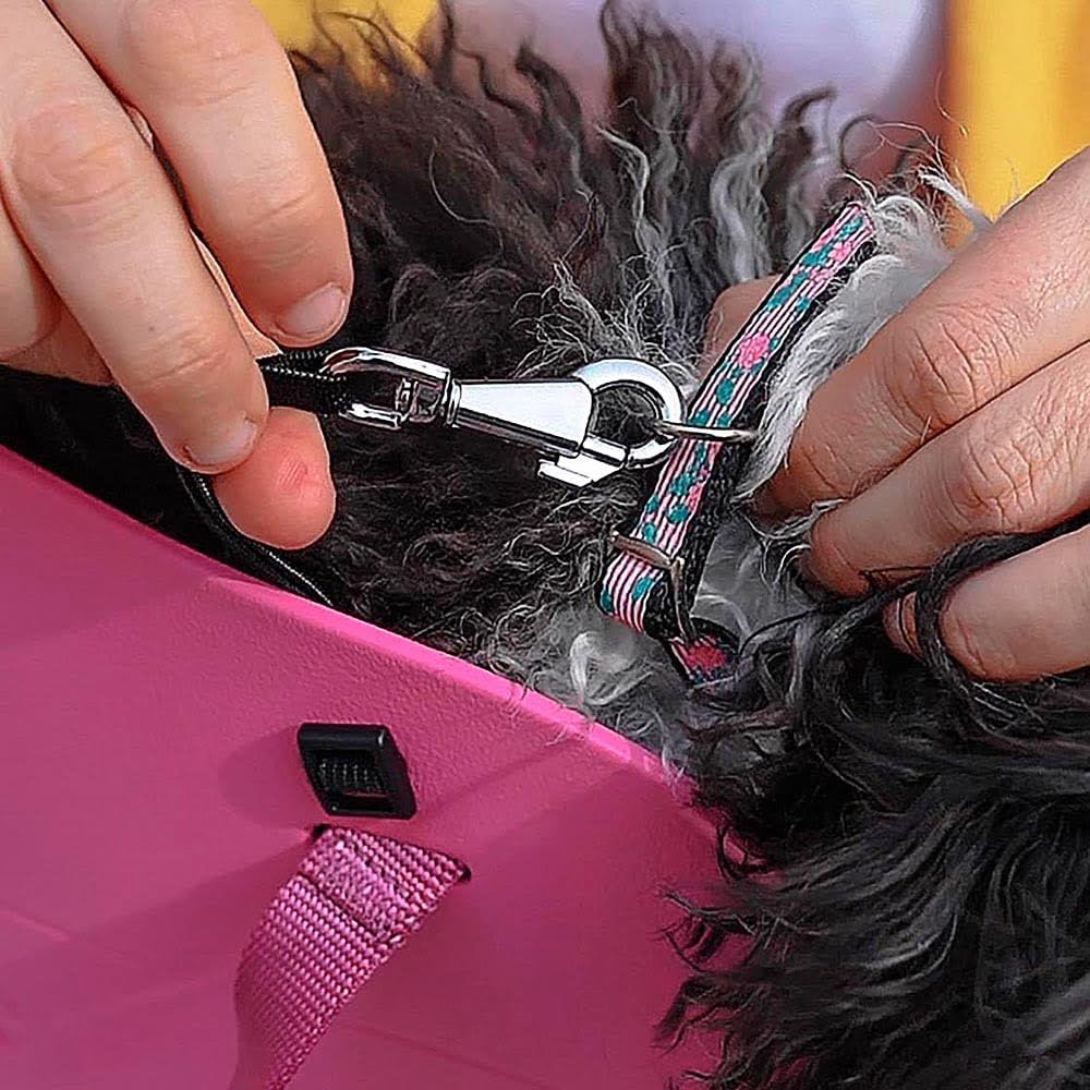 Ferplast With-Me Eva Dog Bag, 14 X 35 X 22 Cm, Small, Fuchsia image number 5