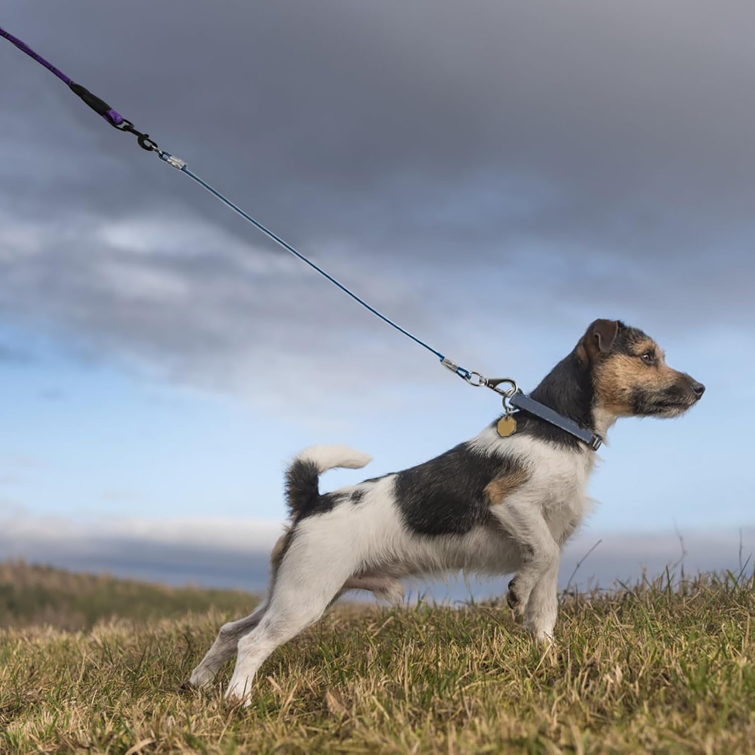 Voopet Chew-Proof Dog Leash Extension Works with Any Leash & Collar & Harness - Super Strong and Durable Non-Tangle Connect Leash (Multiple Leashes Are Used for Multiple Dogs)
