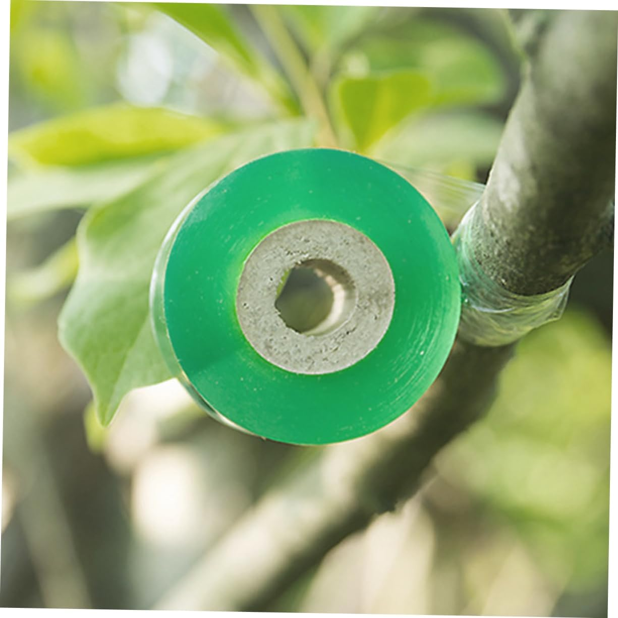 SUPVOX Grafting Tape and Plant Repair Tape for Gardening Use, 4 Rolls of 100Cm Stretchable Self-Adhesive Budding Film 2Cm Width, Suitable for Fruit Trees and Plant Grafting Accessories image number 4