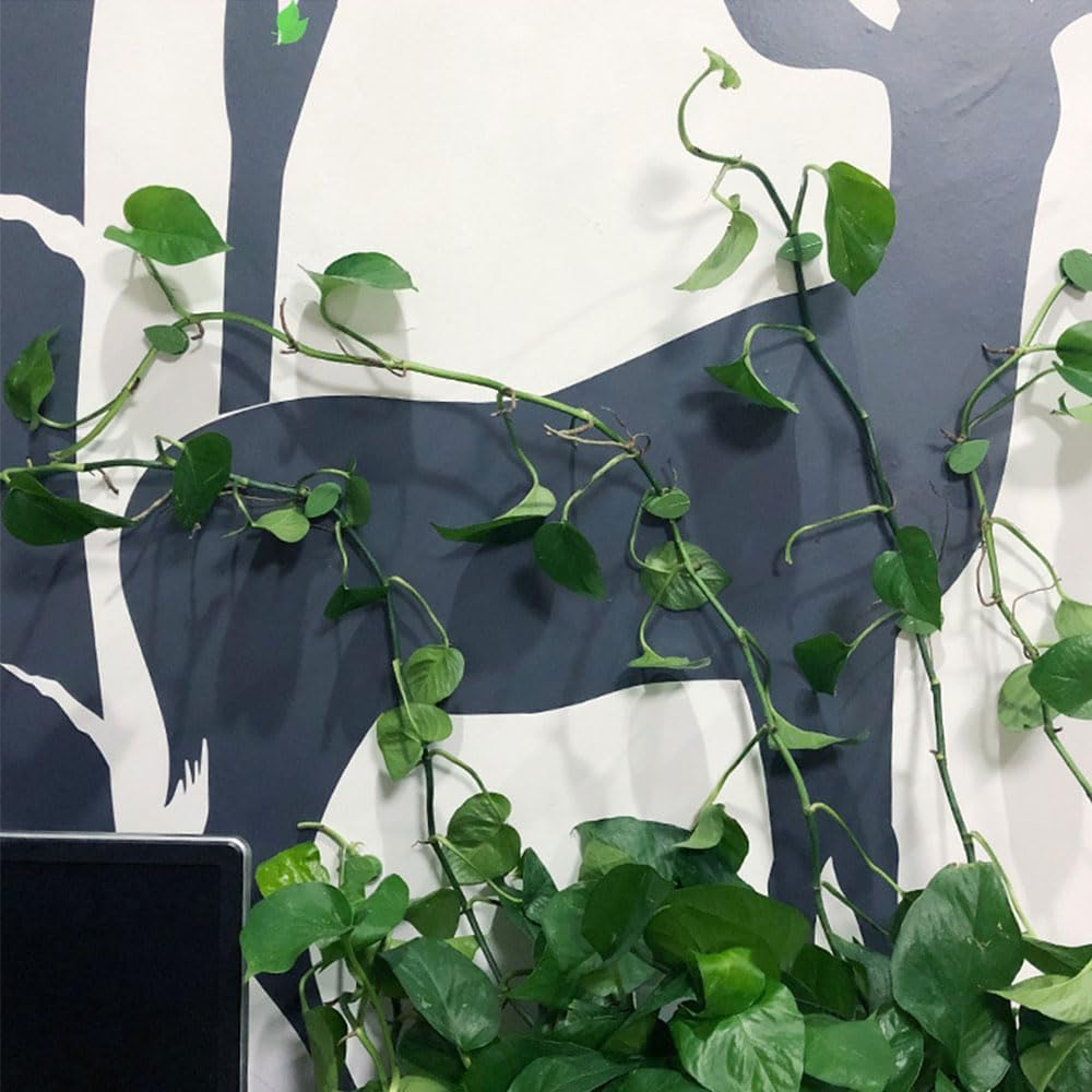 30 Pieces Plant Climbing Wall Fixture Clips with 36 Pieces Acrylic Adhesive Sticker Leaf Fixer Invisible Wall Vines Fixing Clips Self-Adhesive Hook Plant Vine Traction for Indoor Outdoor Decoration image number 2