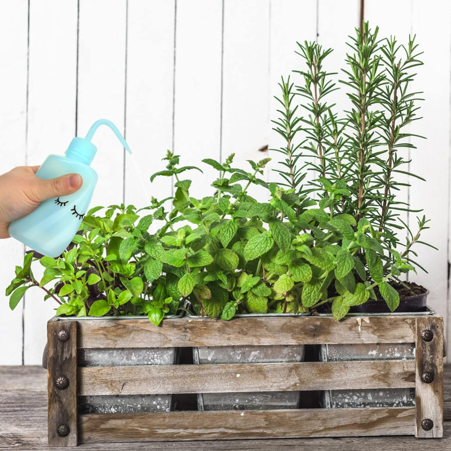 FRCOLOR 6Pcs Elbow Bottle Plastic Squeeze Bottle for Supplies and Small Indoor Gardening image number 3