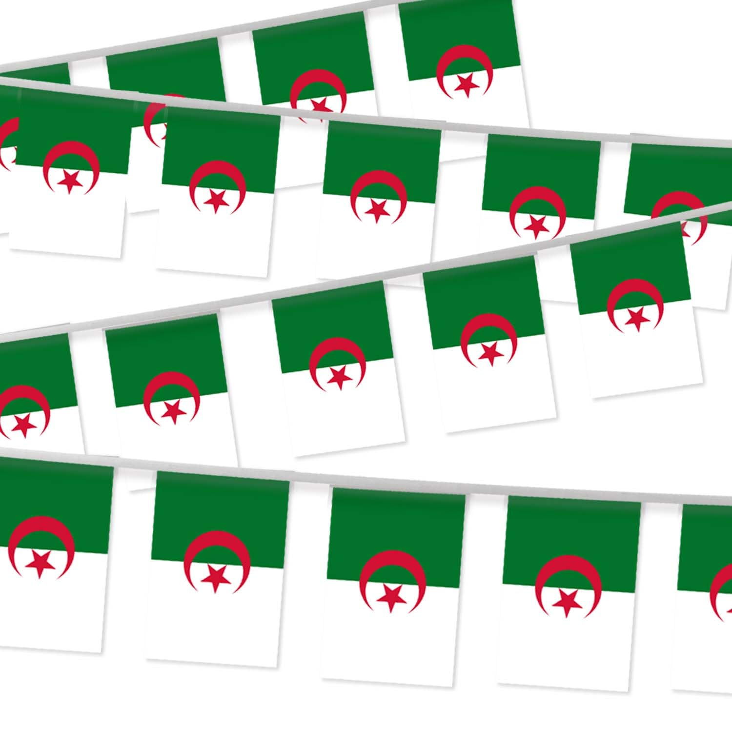 32FT Small Algeria Pennant Flag Bunting,30 PCS Mini String Banner Strip Algerian National Decor Rectangle for Holiday Restaurant Home Party School image number 1