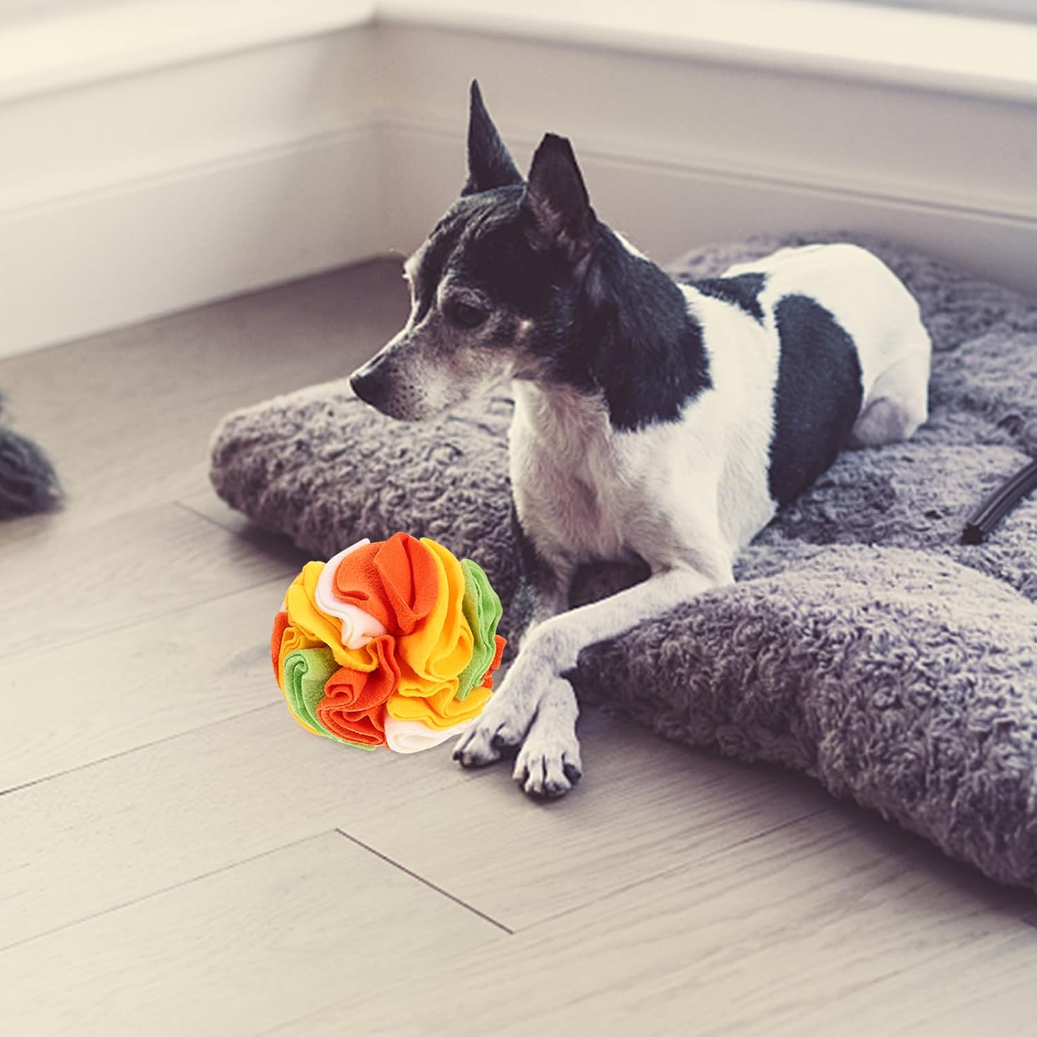POPETPOP Interactive Dog Toys Snuffle Ball: Pet Snuffle Ball Colorful Puppy Interactive Sniffle Toy - Dog Puzzle Toys Treat Ball for Small Medium Dog Puppy Encourages Foraging Skills image number 5