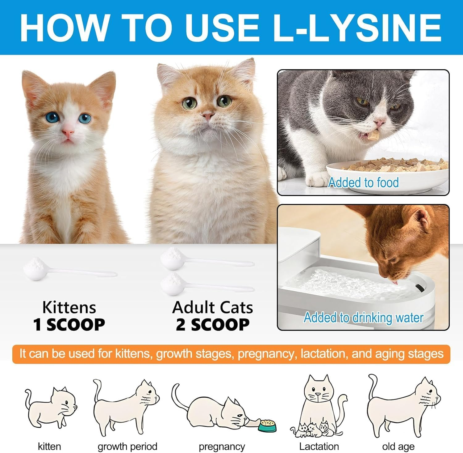 L-Lysine Powder for Cats 120G | Supports Immune System, Respiratory & Eye Health | Salmon Flavour | Daily Cat Supplement Powder image number 2