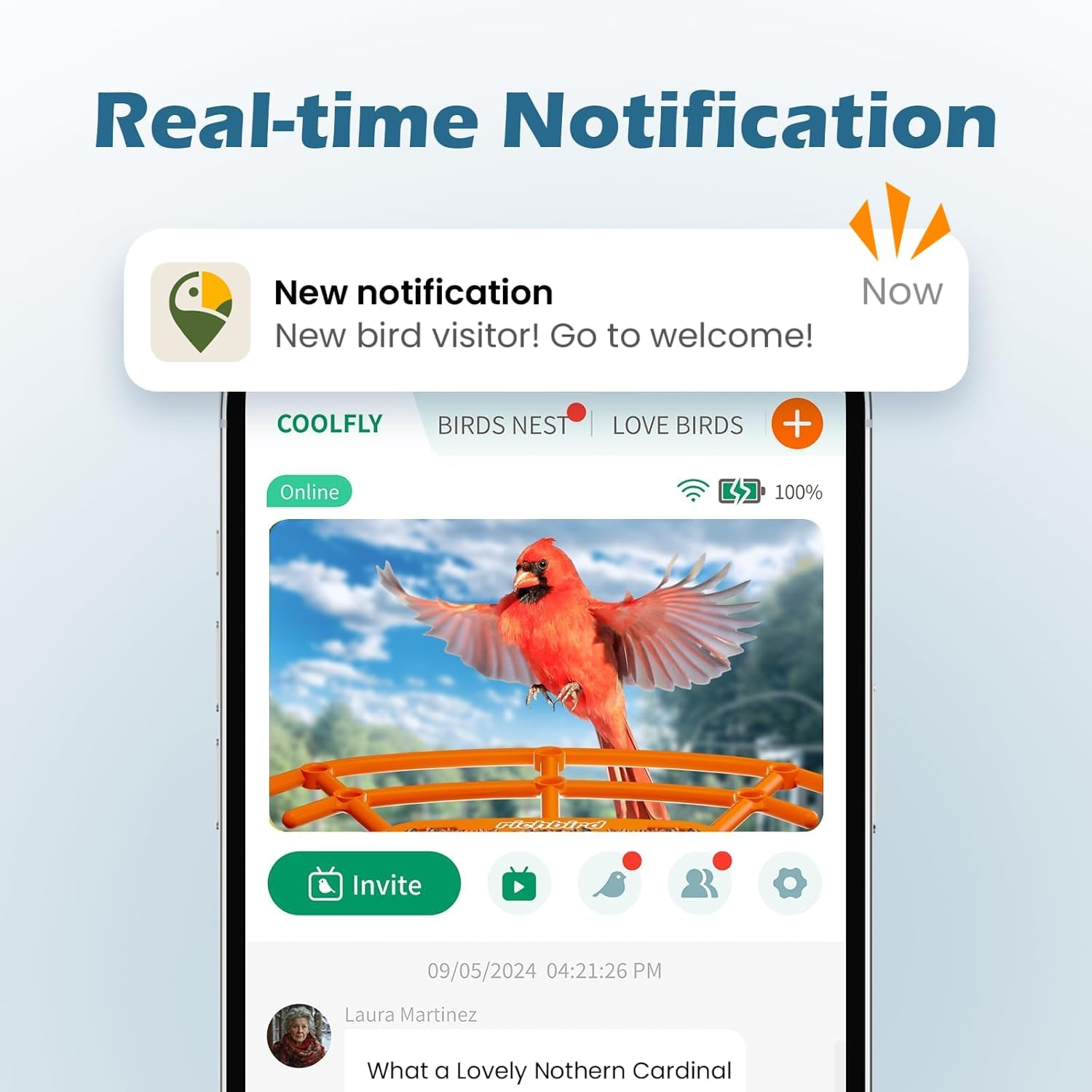 Smart Bird Feeder with Camera, 2K HD Birdwatching Camera with AI Identify Bird Species & Solar Panel, Auto Video Capture & Instant Notifications, Ideal Gifts for Lover, Deep Blue - Green image number 6
