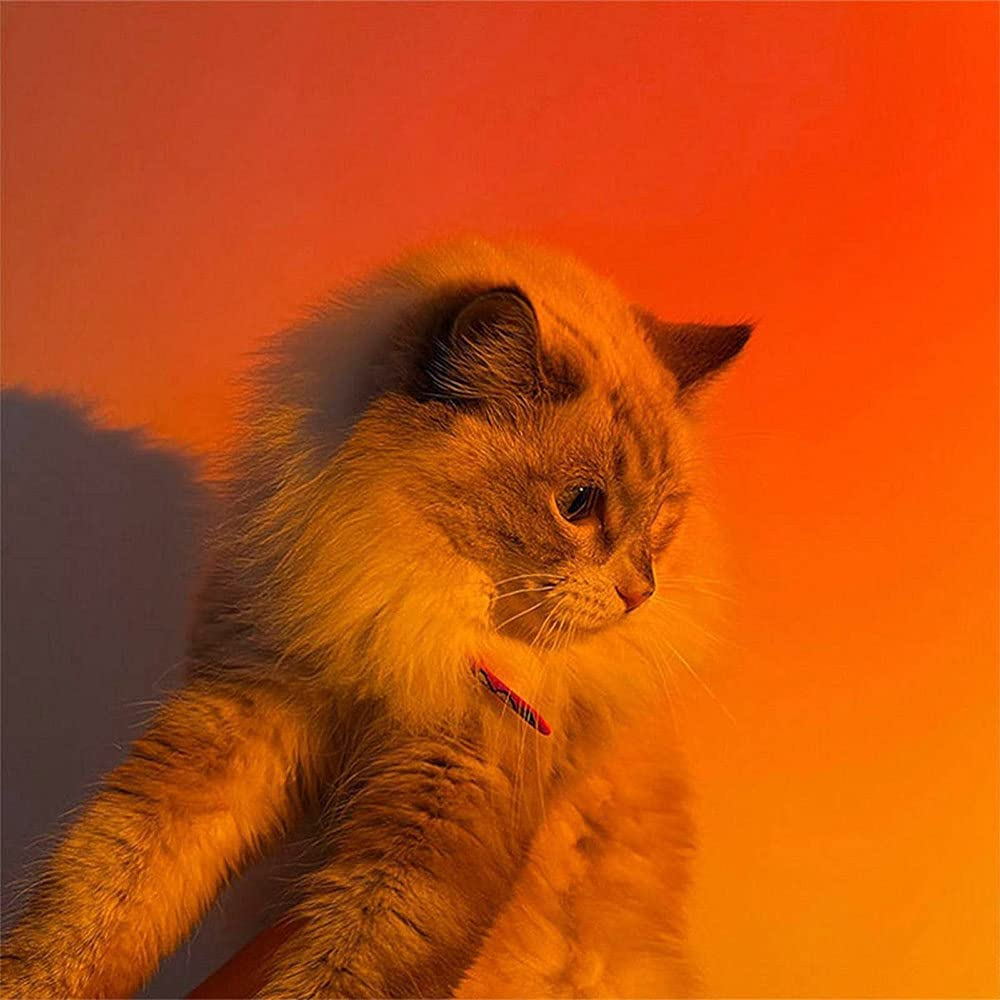 Youoklight Sunset Lamp, Projector Sunset Light 10W LED Projection Night Light 180 Degree Rotation Romantic Rainbow Light USB Charging for Photography Party Home Living Room Bedroom Decor, Sunset Red&hellip; - Sunset image number 5