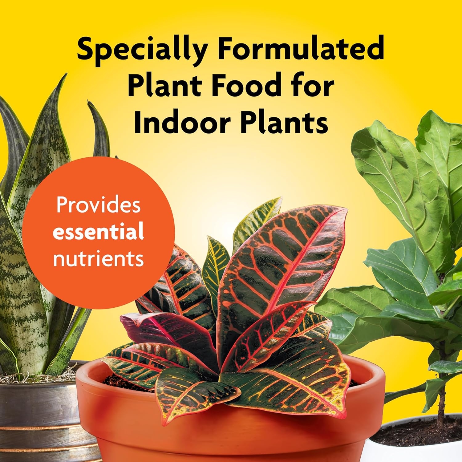 Miracle-Gro Indoor Plant Food Spikes, Includes 24 Spikes - Continuous Feeding for All Flowering and Foliage Houseplants - NPK 6-12-6 image number 3