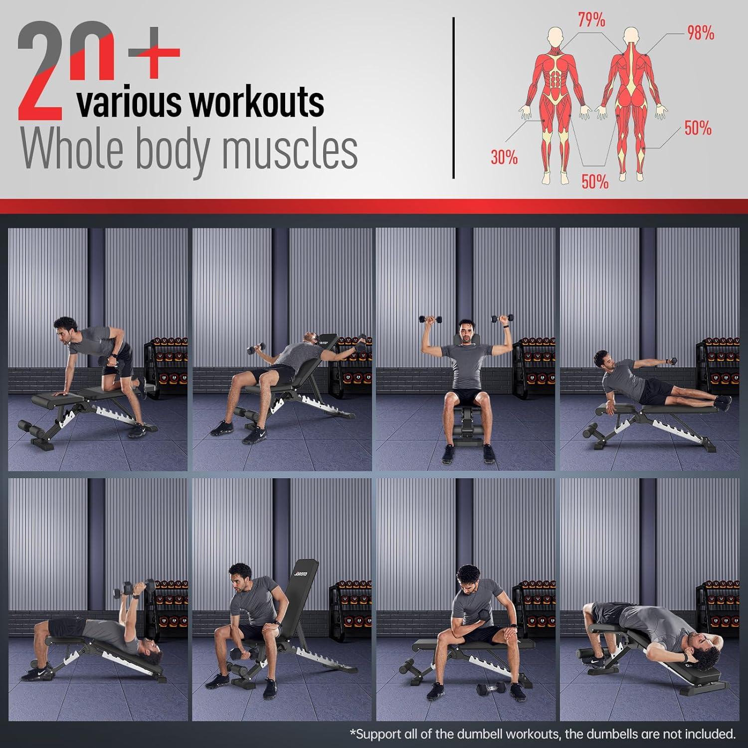 JOROTO Adjustable Weight Bench - 800 Pounds Capacity Workout Bench Strength Training Benches for Full Body Bench Press (2022 NEW VERSION-MD60) image number 4