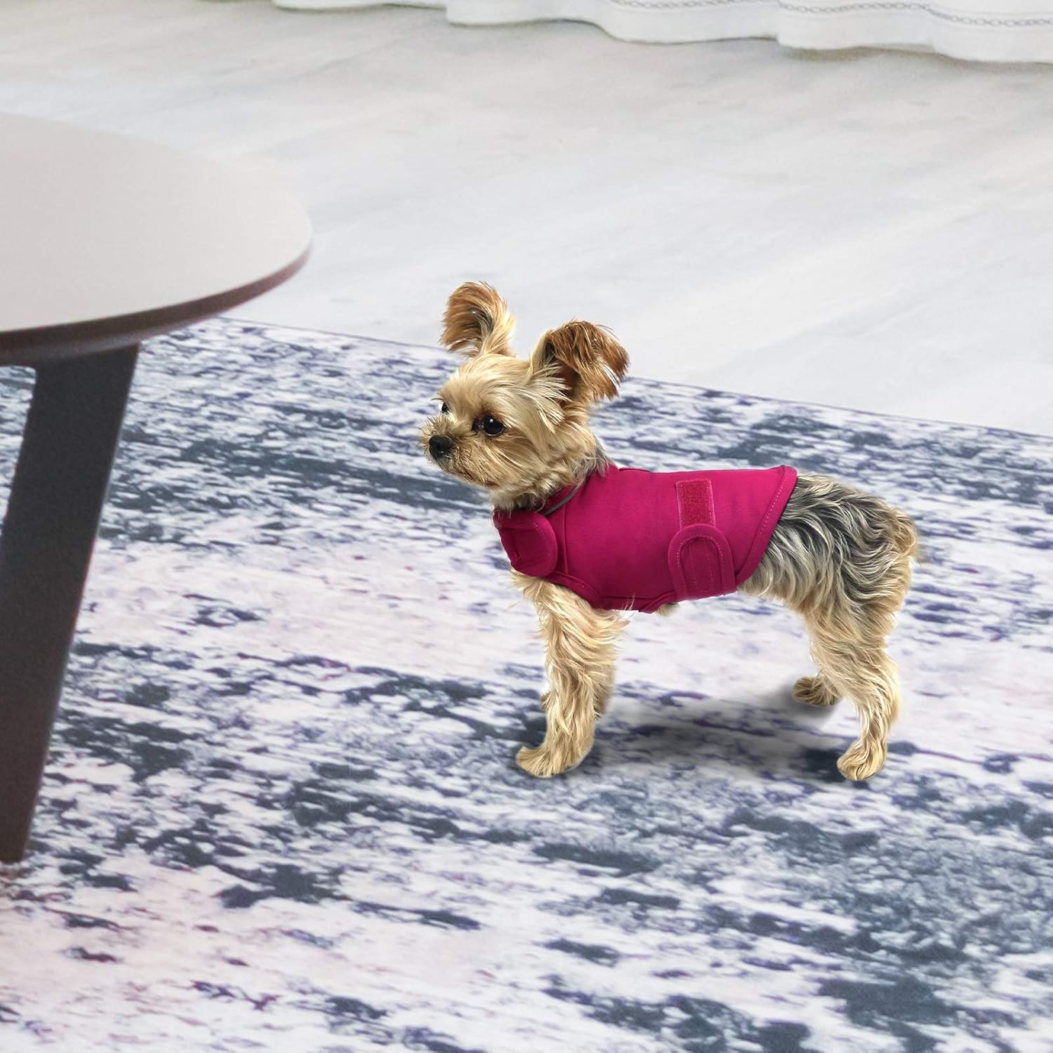 Comfort Dog Anxiety Relief Coat, Dog Anxiety Calming Vest Wrap for Thunderstorm,Travel,4Th of July Fireworks,Vet Visits,Separation Anxiety Relief for Dogs (X-Small (Pack of 1), Rose) image number 2