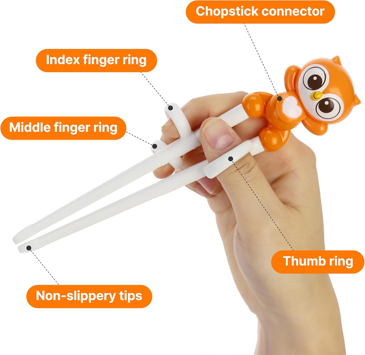 Edison Friends Training Chopsticks, Learning, Beginner, Brain Training, Practice, Korean Food, Japanese Sushi, 1 Step to Learn Chopstick, Right Handed - Made in Korea (Owl) image number 6