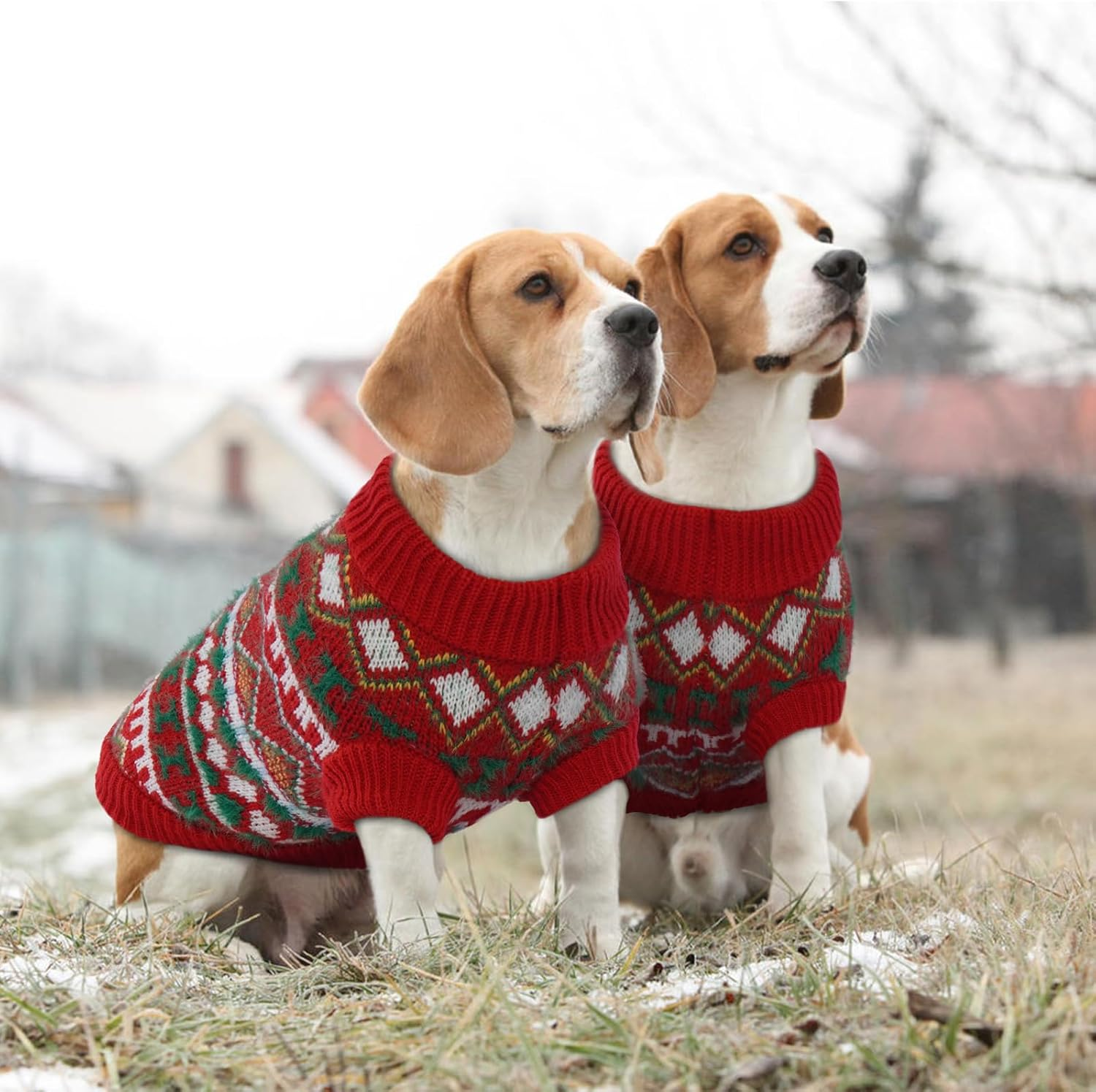 Hjumarayan Boho Dog Jumper - Christmas Jumper for Small Dogs, Beautiful Thick Dog Jumper, French Bulldog Chihuahua (Red-Green, M) image number 6