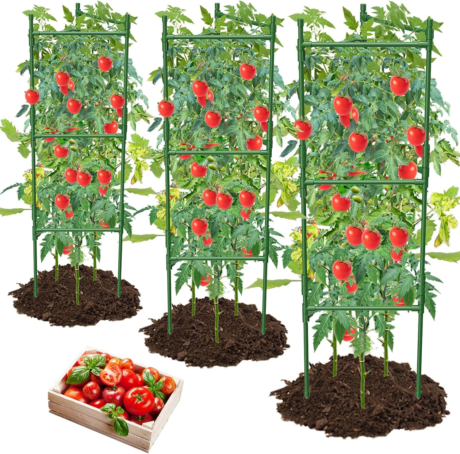 3 Pack Tomato Cages Trellises for Garden, 120Cm Tomato Triangle Cages Trellis for Raised Garden Bed and Pots, Plant Cages & Supports (3 Pack) image number 6