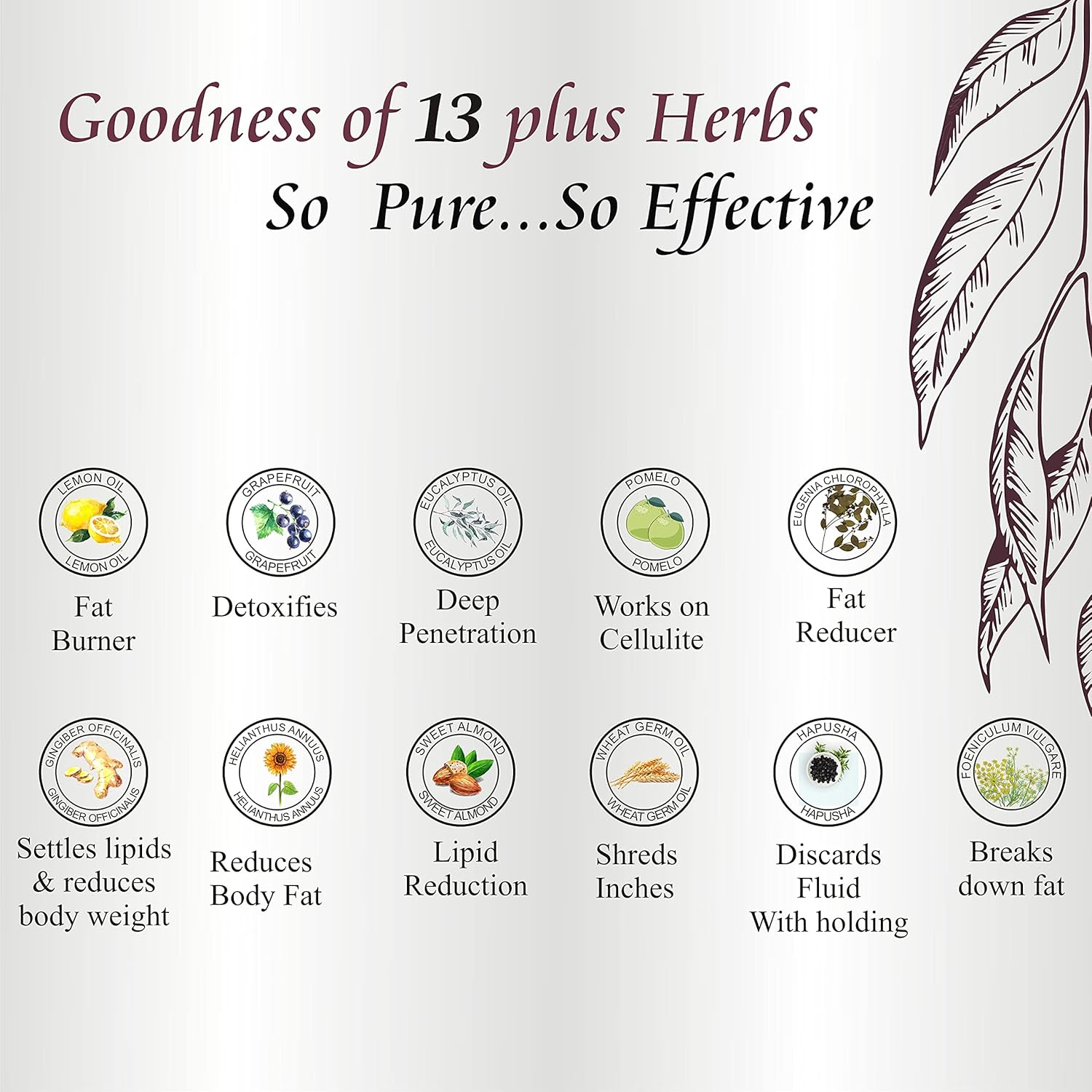 Zenvista Meditech anti Cellulite Slimming Oil (100Ml) image number 2