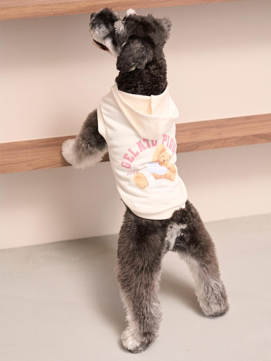 Gelato Pique Cat & Dog PAGG254589 IVR S Sporty Bear Fleece Pullover image number 3