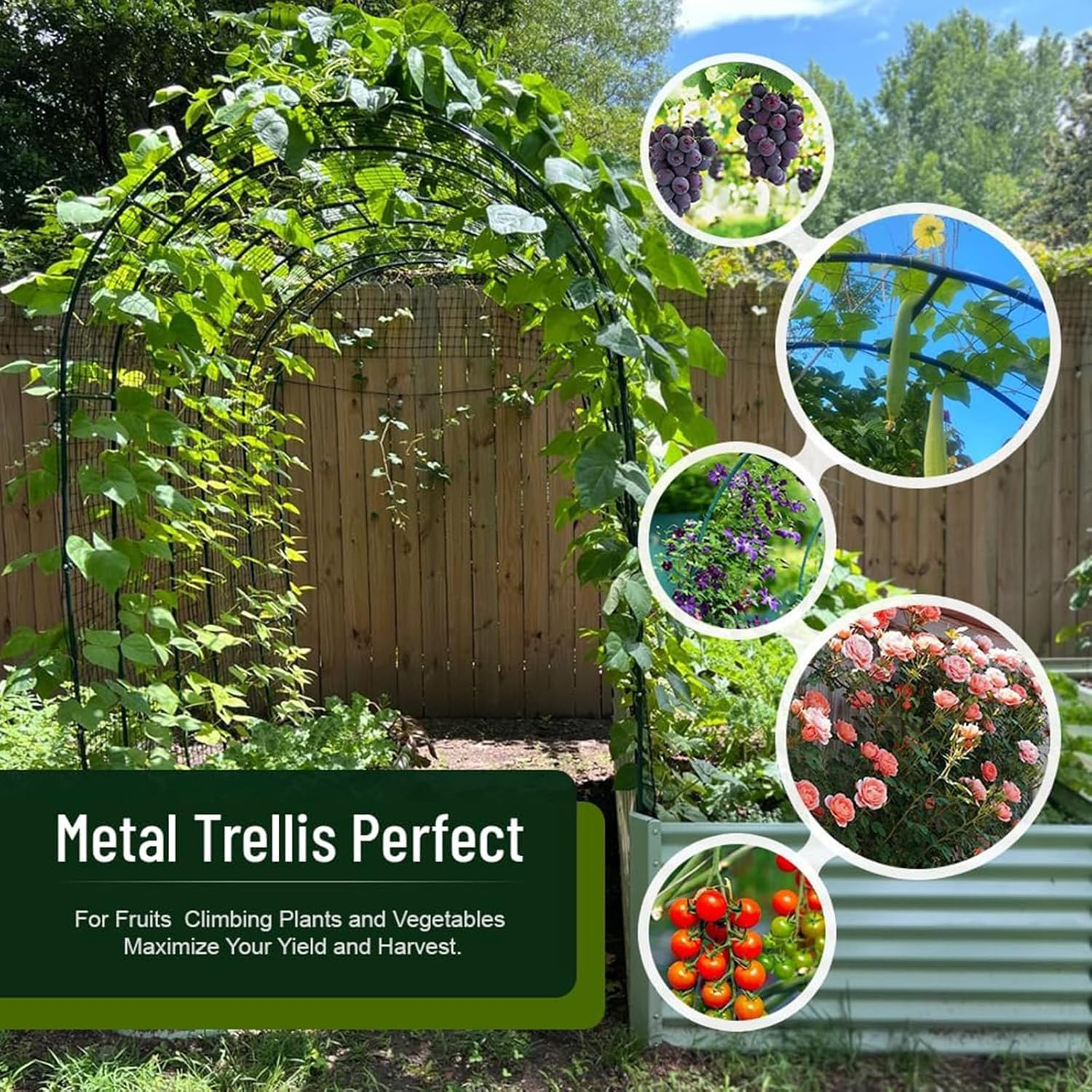 CHONYI Metal Garden Arch,4.6X 7.9 FT High Wedding Party Arch Garden Arbor Flower Arbour for Climbing Plant Outdoor Indoor image number 5