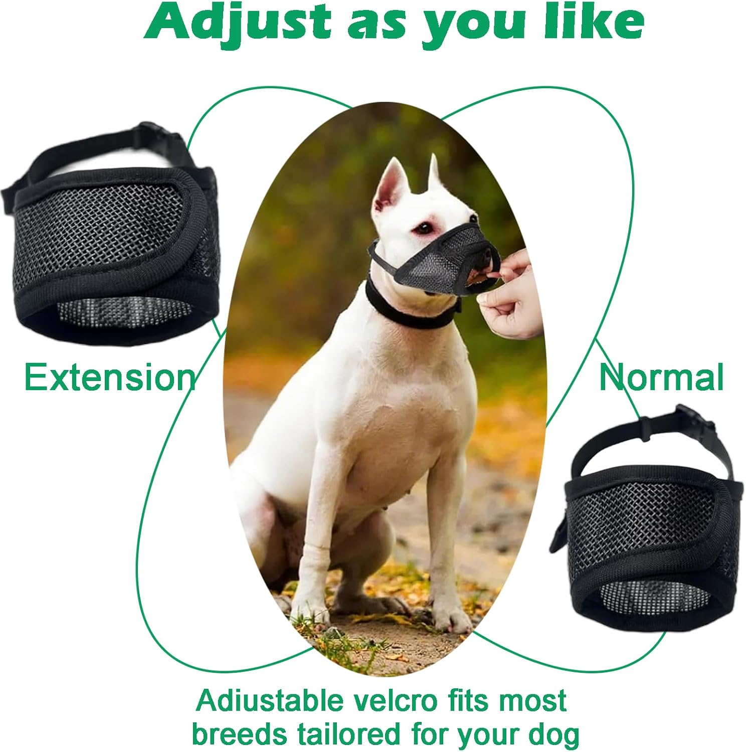 Hrenvaxil Muzzle, Anti-Bark Dog Muzzle, Adjustable Comfortable Breathable Mesh Muzzle for Small and Medium Dogs, Secure Fit for Safe Breathing and Drinking (Black) image number 3