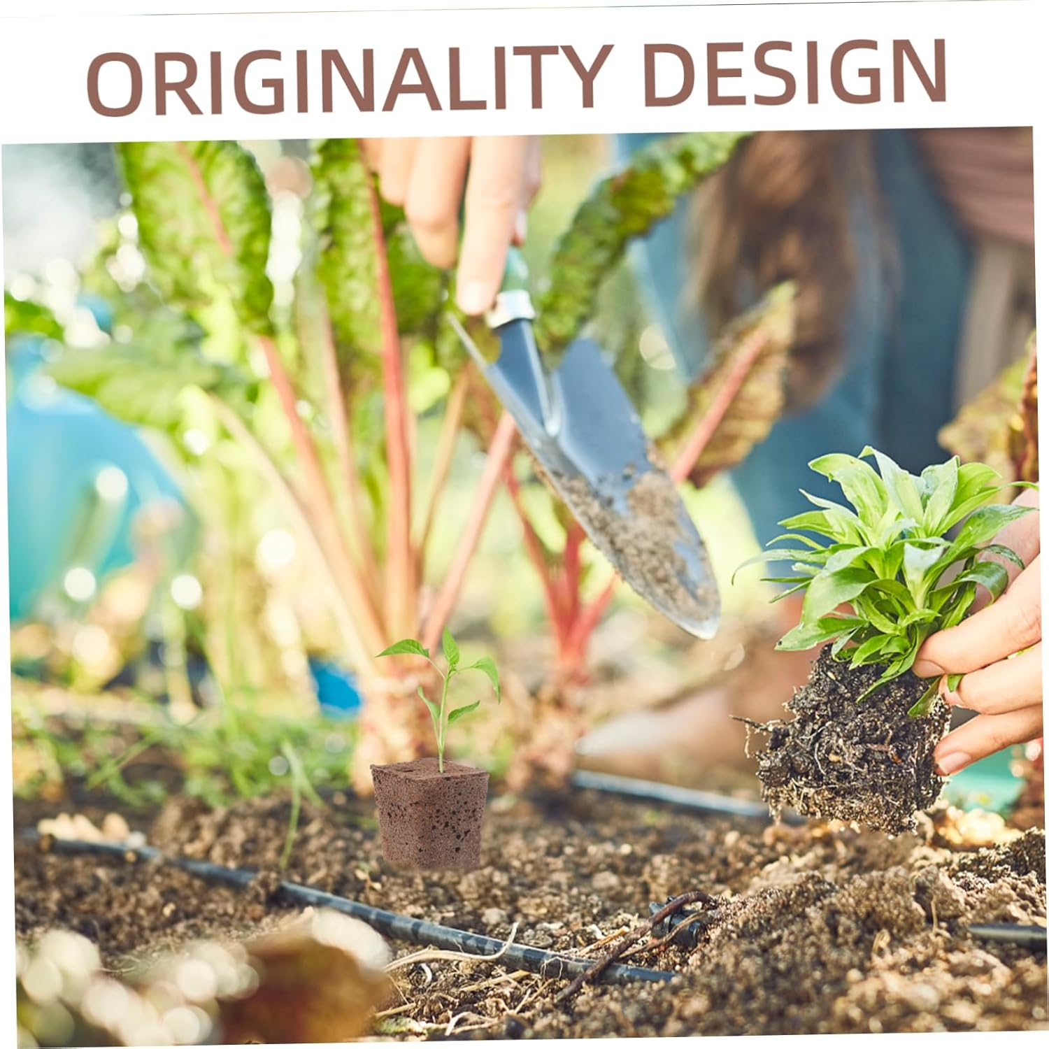 OFFSCH 40Pcs Hydroponic Starter Blocks Grow Cubes Plugs for Home Gardening Blocks Air Permeability Nutrient-Rich Planting Supplies image number 5