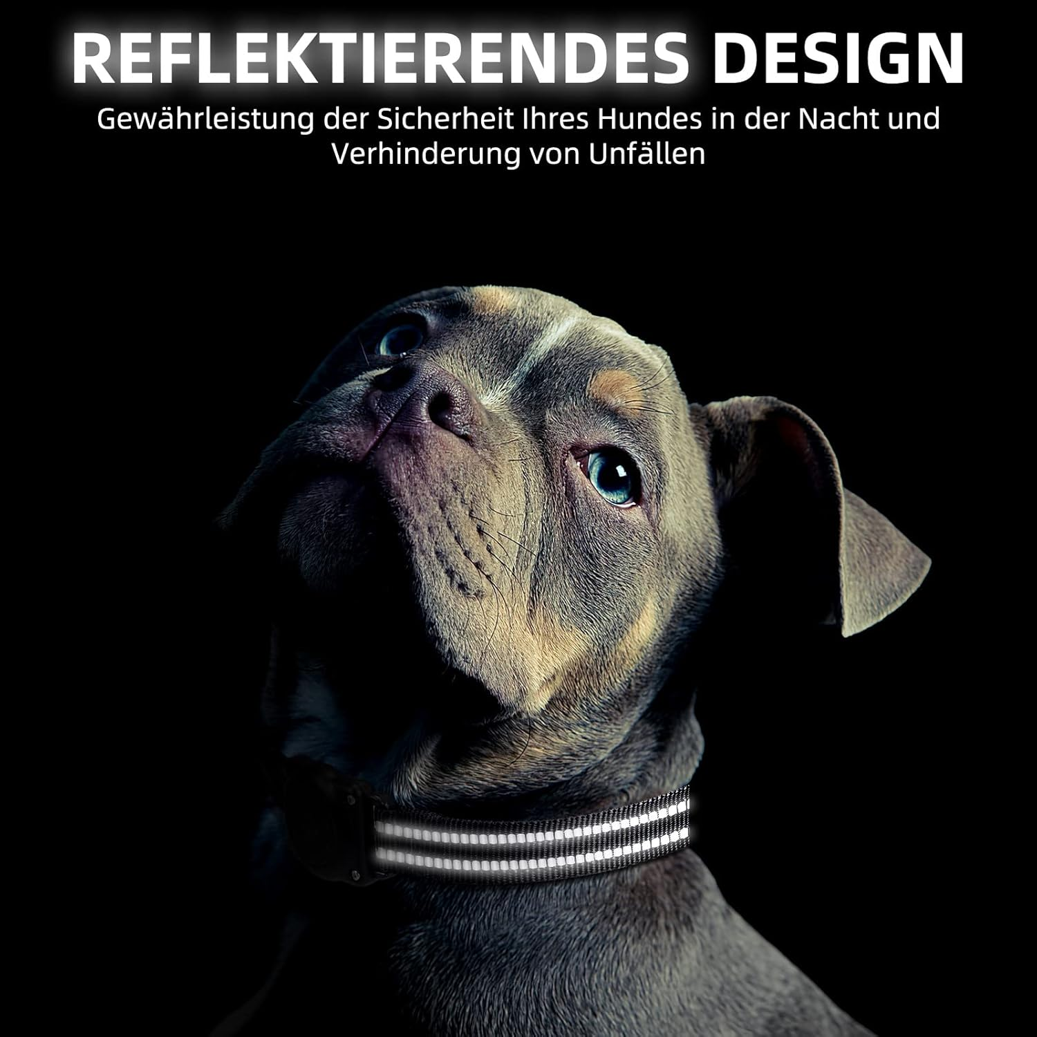 Airtag Dog Collar, 100% Waterproof Integrated Apple Airtag Dog Collars, Reflective GPS Dog Collar with Hard PC Airtag Holder Case for Small and Large Dogs (Black) image number 4