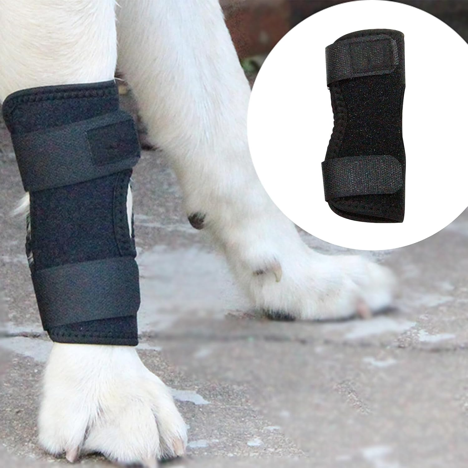 Leg Braces for Dogs - Soft Fabric Leg Wrap, Pet Knee Brace | Medium Fit Sleeve with anti Lick Design Feature, Canine Leg Support for Recovery Walking Stability and Muscle Relief image number 5