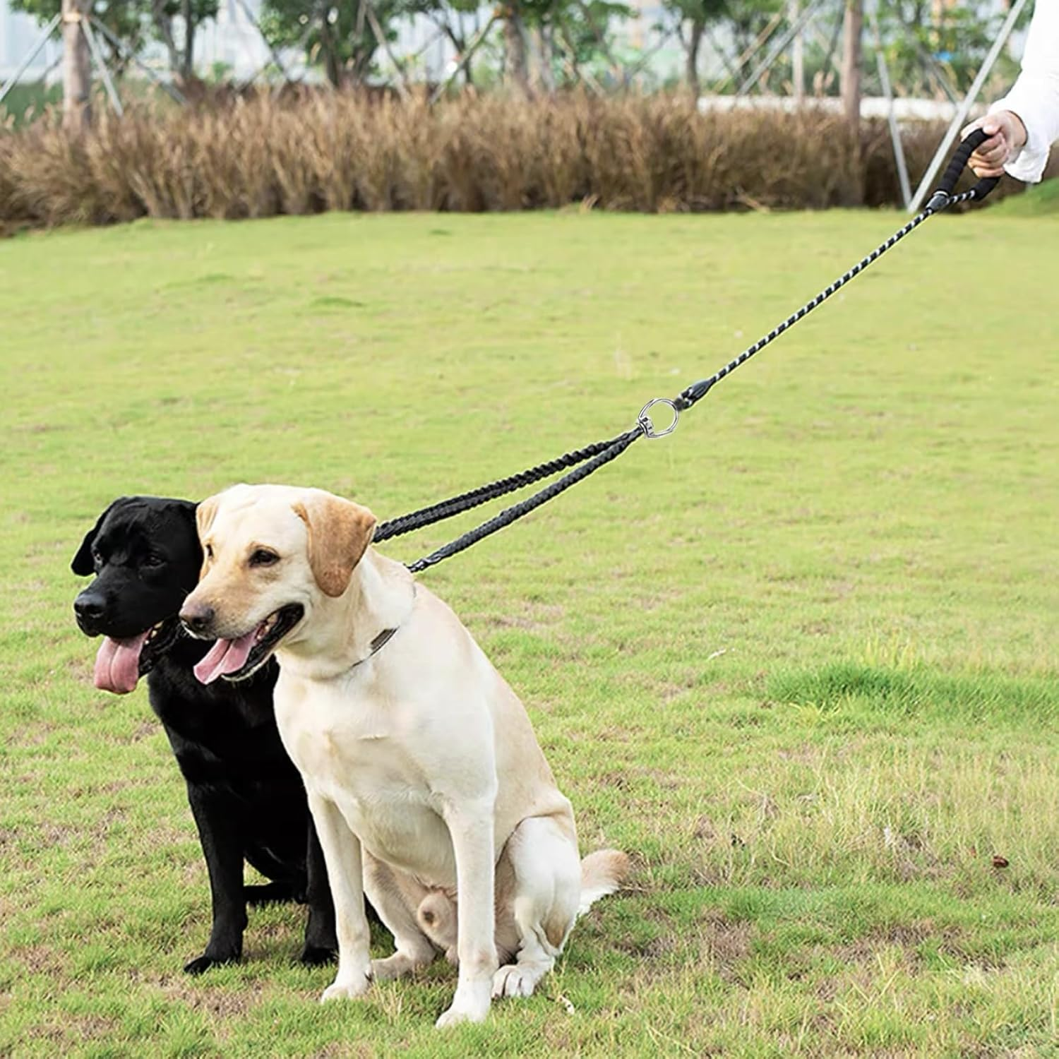 Double Dog Lead for Walking 2 Dogs No Tangle 360&deg; Swivel Reflective Dual Leash with Double Clip for Dogs image number 5