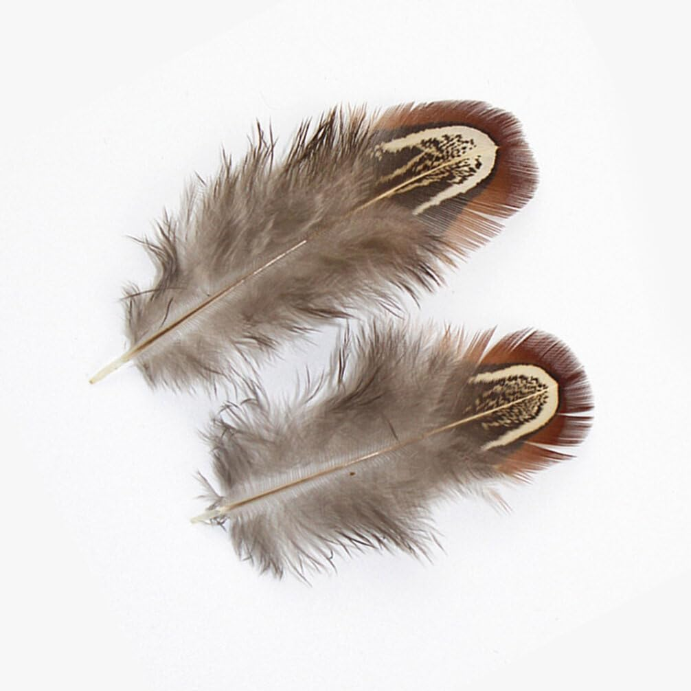 Tofficu Feathers Natural Crafts : Feathers for Crafting - Pheasant Feathers for Dream Catcher DIY Craft Projects image number 6