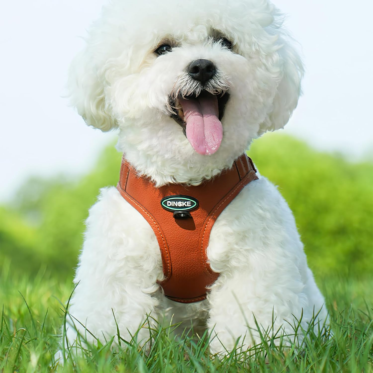 Adjustable Kitten Harness and Lead Set, Kitten Vest Harnesses, Adjustable Kitten Harness and Lead Set, for Small and Medium Cats and Pets for Outdoor Walking (S)