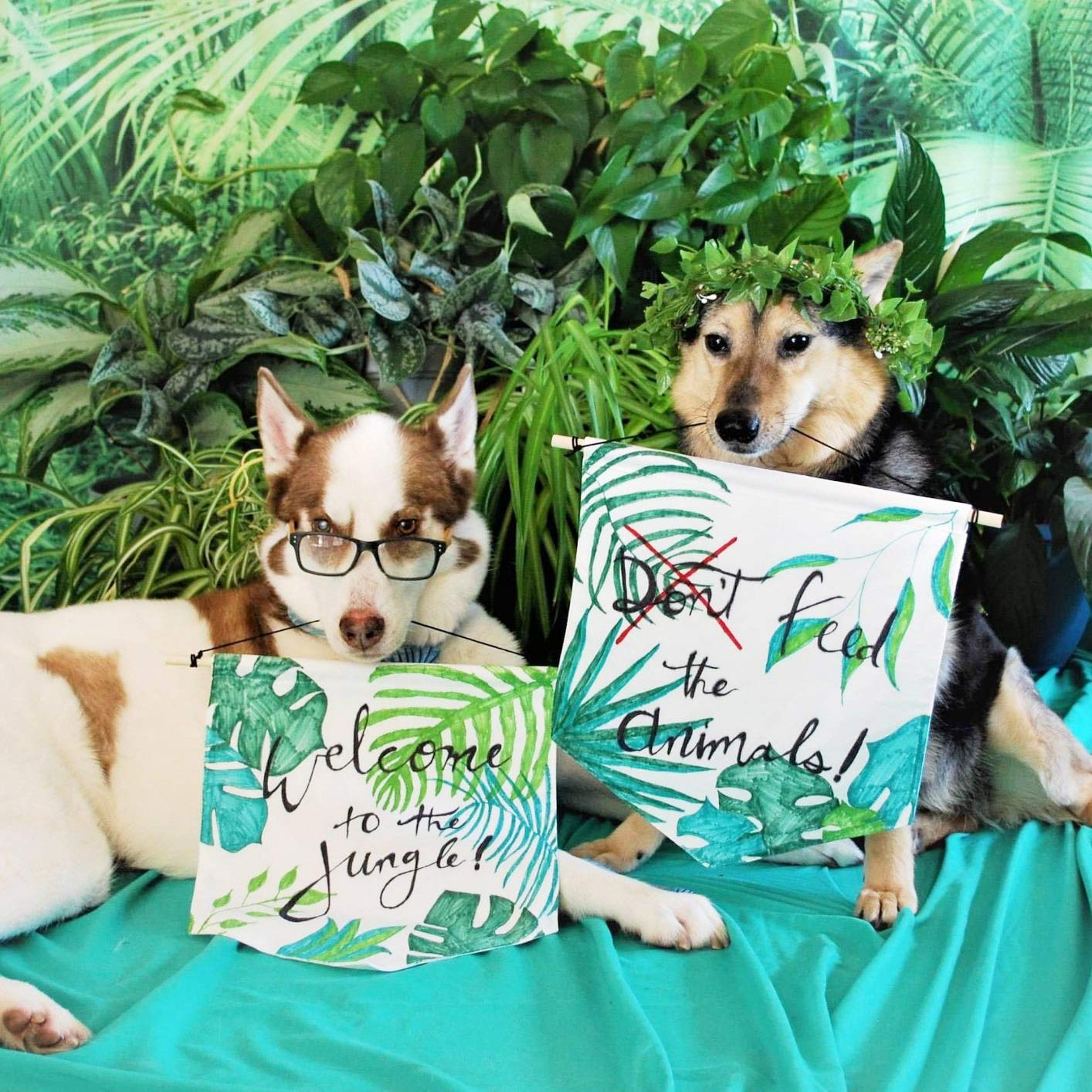 Anley Canvas Wall Banners - Blank Fabric Badge & Wooden Dowel & Pre-Tied String - Decorative DIY Plaque, Display for Indoors, Baby Shower, Wedding, Graduation(2Pcs)