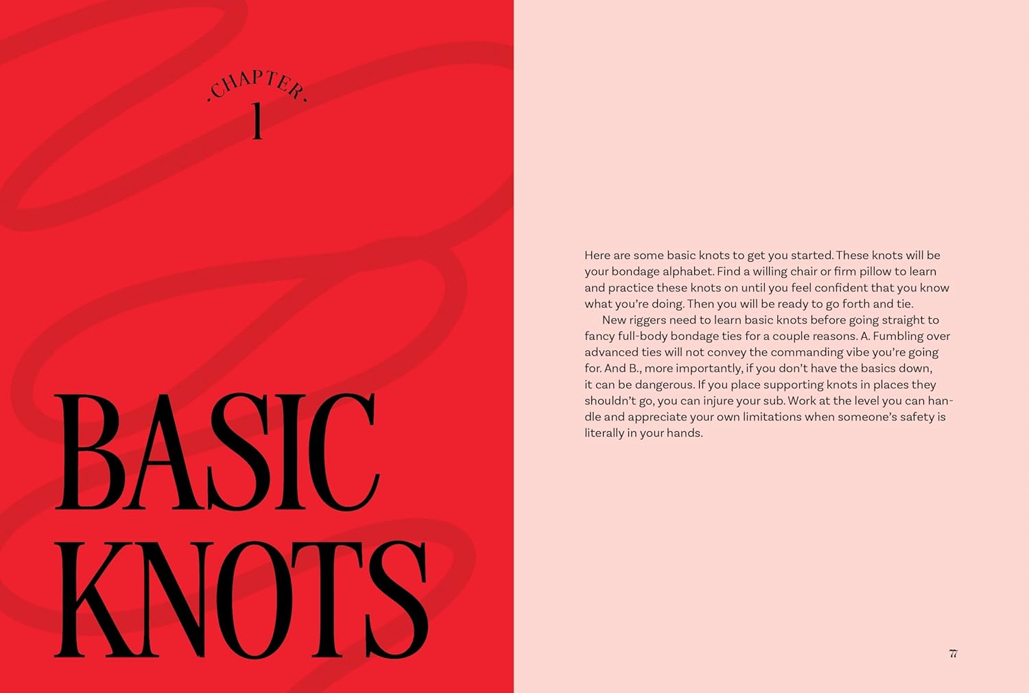 The Bondage Playbook: 31 Must-Know Knots and Ties for Bondage Beginners