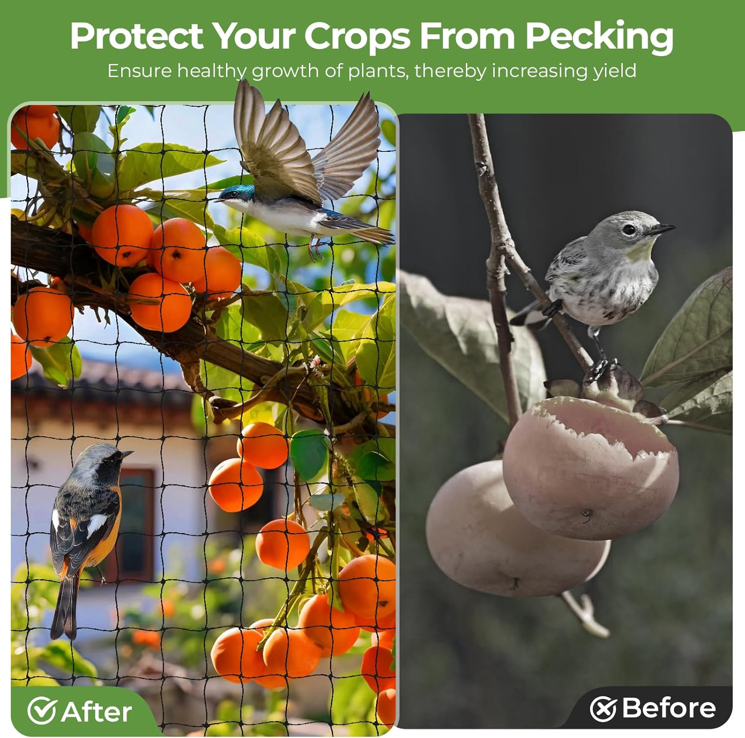 10 M X 10 M Bird Protection Net, Bird Net, Black, Tear-Resistant Plant Net for Chicken Enclosures, Aviary Net for Protects Fruit Trees and Vegetables from Bird Eating (Mesh Size 2.5 X 2.5 image number 1