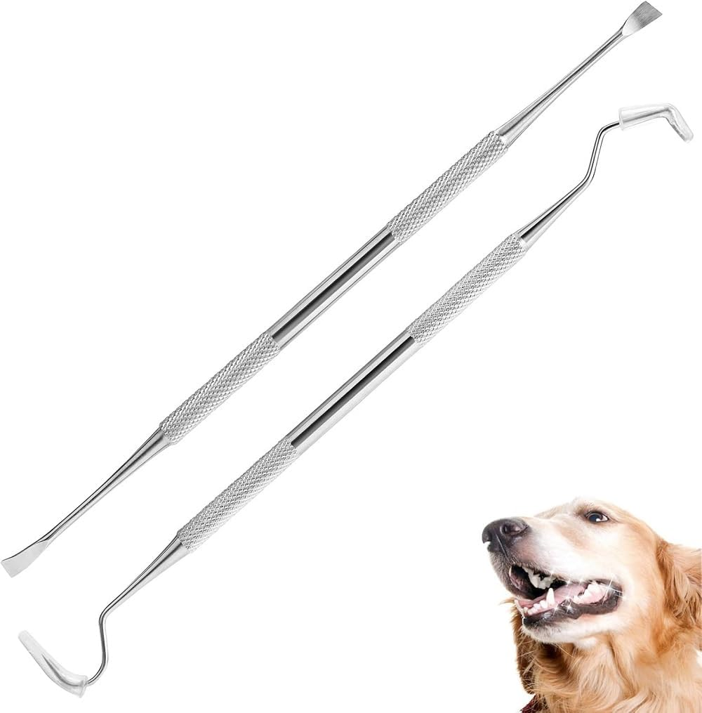 Dog Teeth Cleaning Tools Tarter Remover Canine Dental Scraper Scaler Tools Pet Tooth Cleaner Stainless Steel with Double Head (Style 1, One Size)