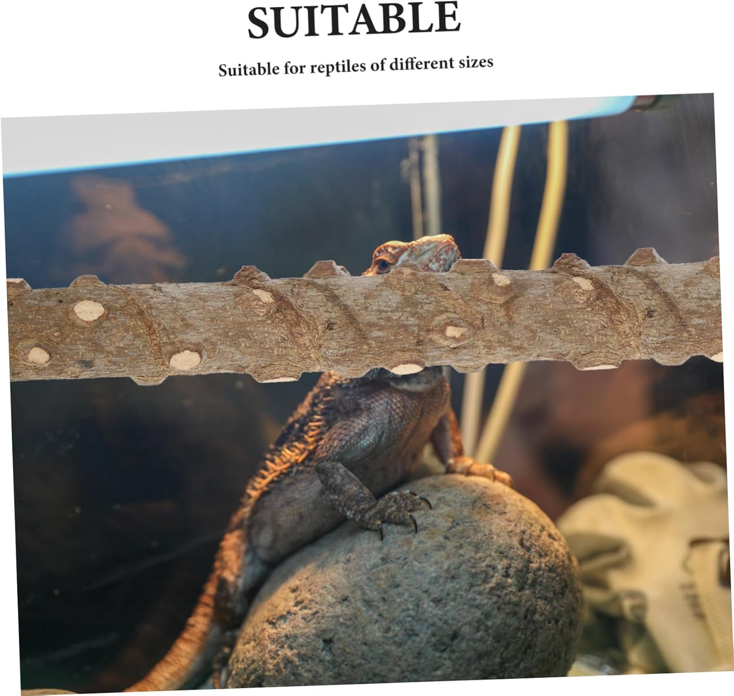 Reptile Corner Stick Branch with Suction Cup and Tie, 2Pcs Pepperwood Climbing Tree Branch for Lizard and Hermit Crab Terrarium Habitat Decoration image number 2